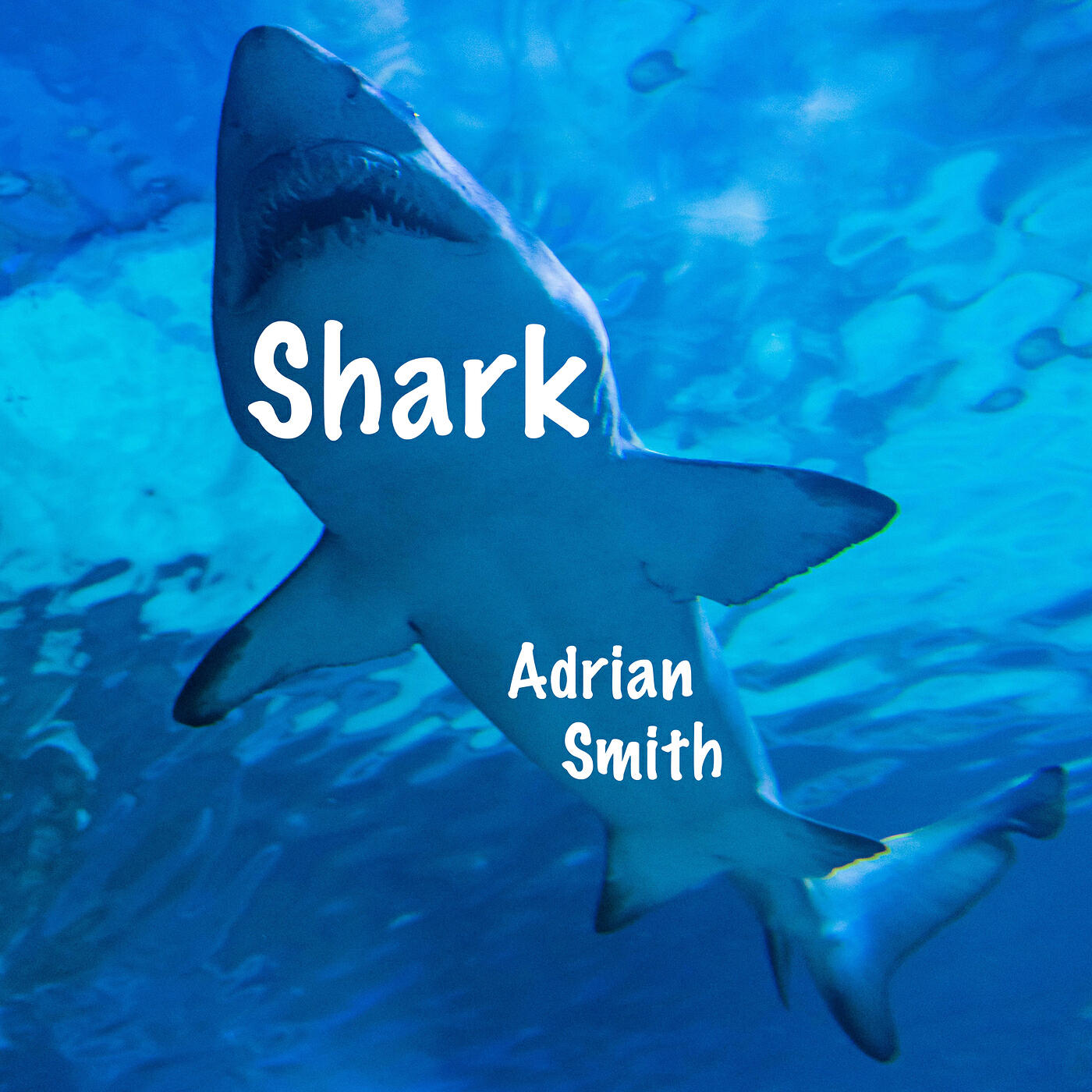 Релиз Shark
