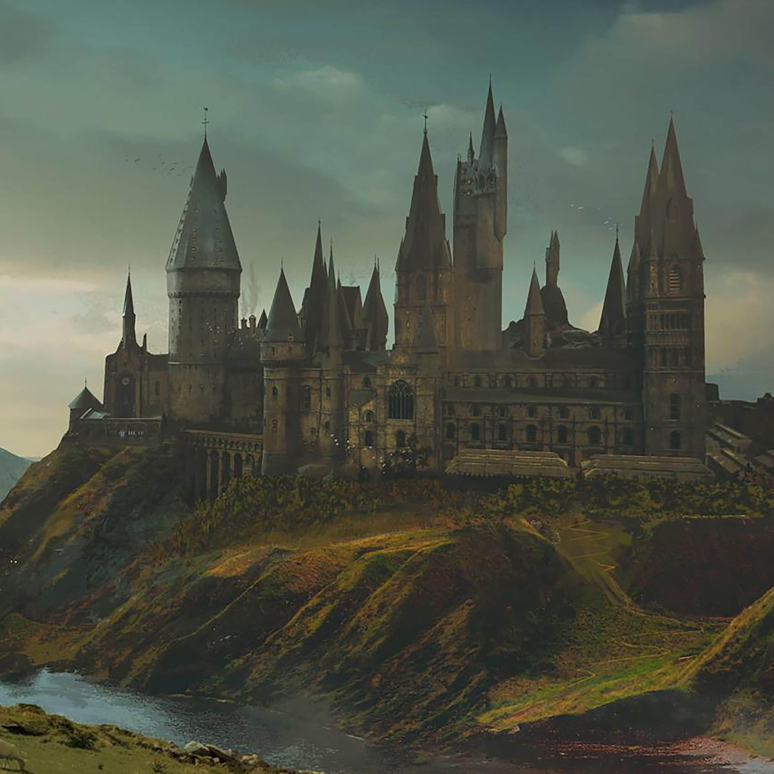 Релиз Hedwig's Theme (Harry Potter Lofi)