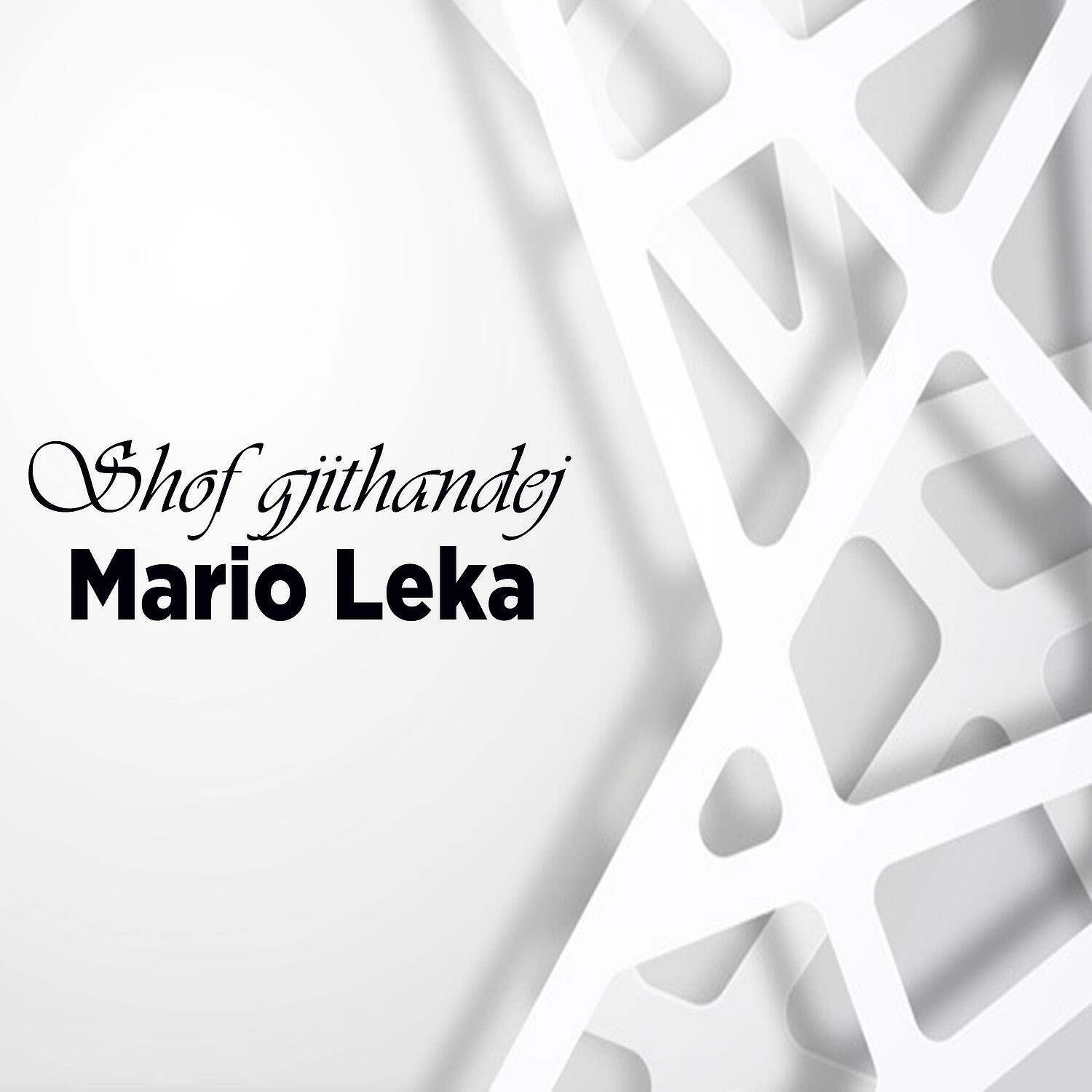 Релиз Shof gjithandej