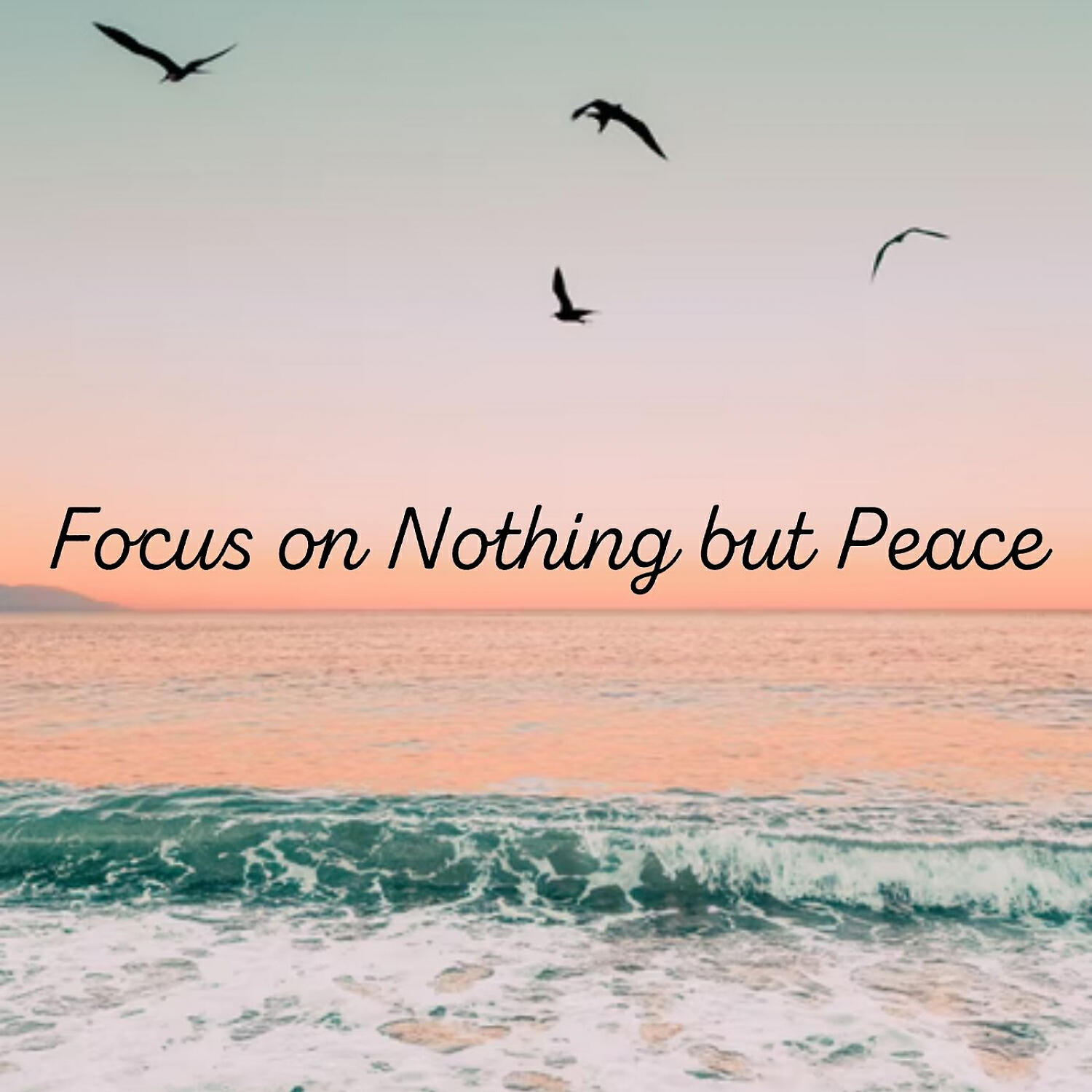 Релиз Focus on Nothing but Peace