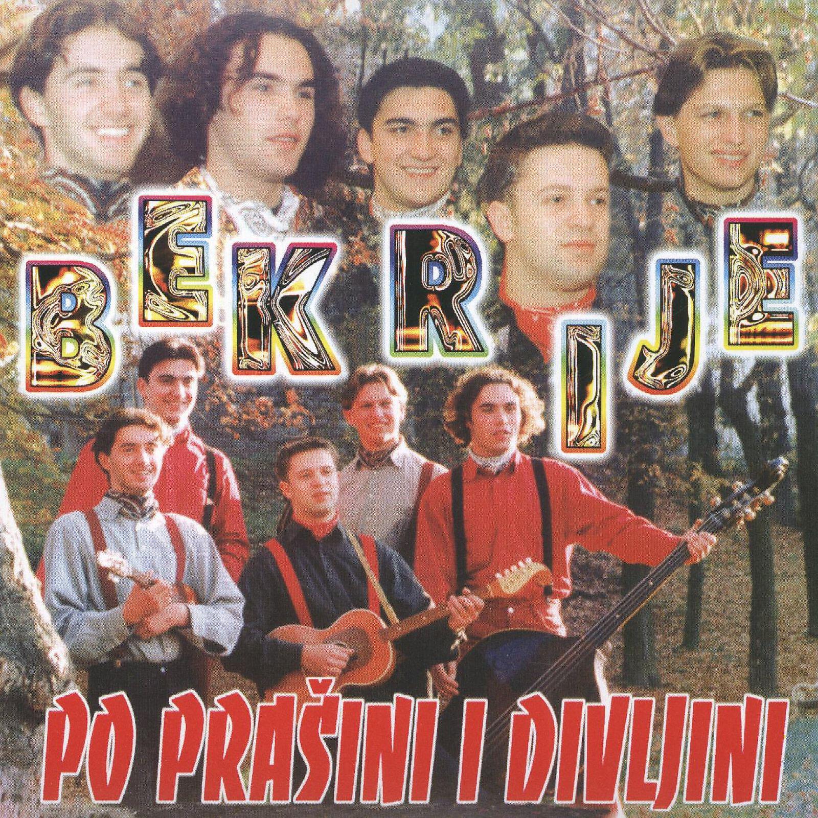 Релиз Po Prašini I Divljini