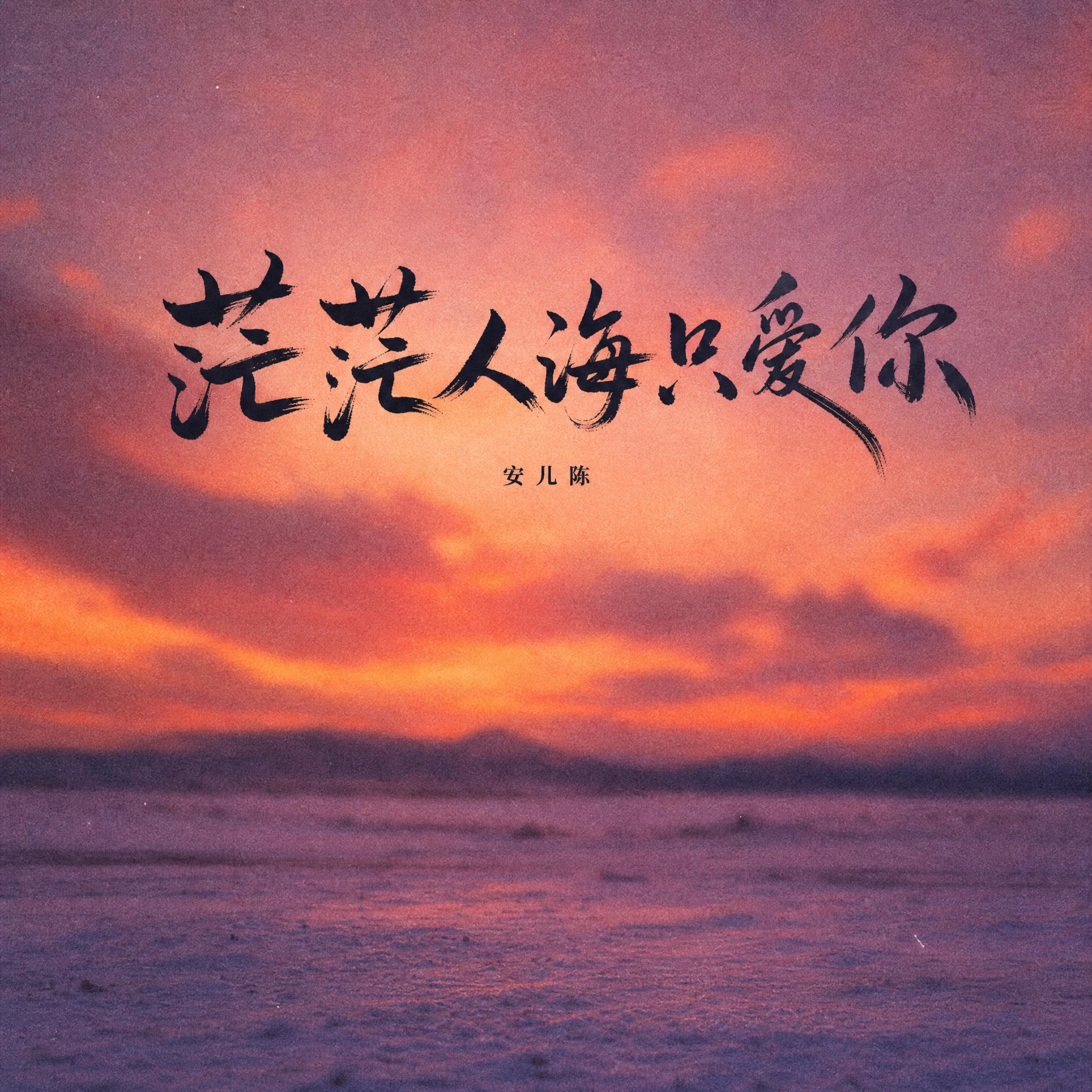 Релиз 茫茫人海只爱你
