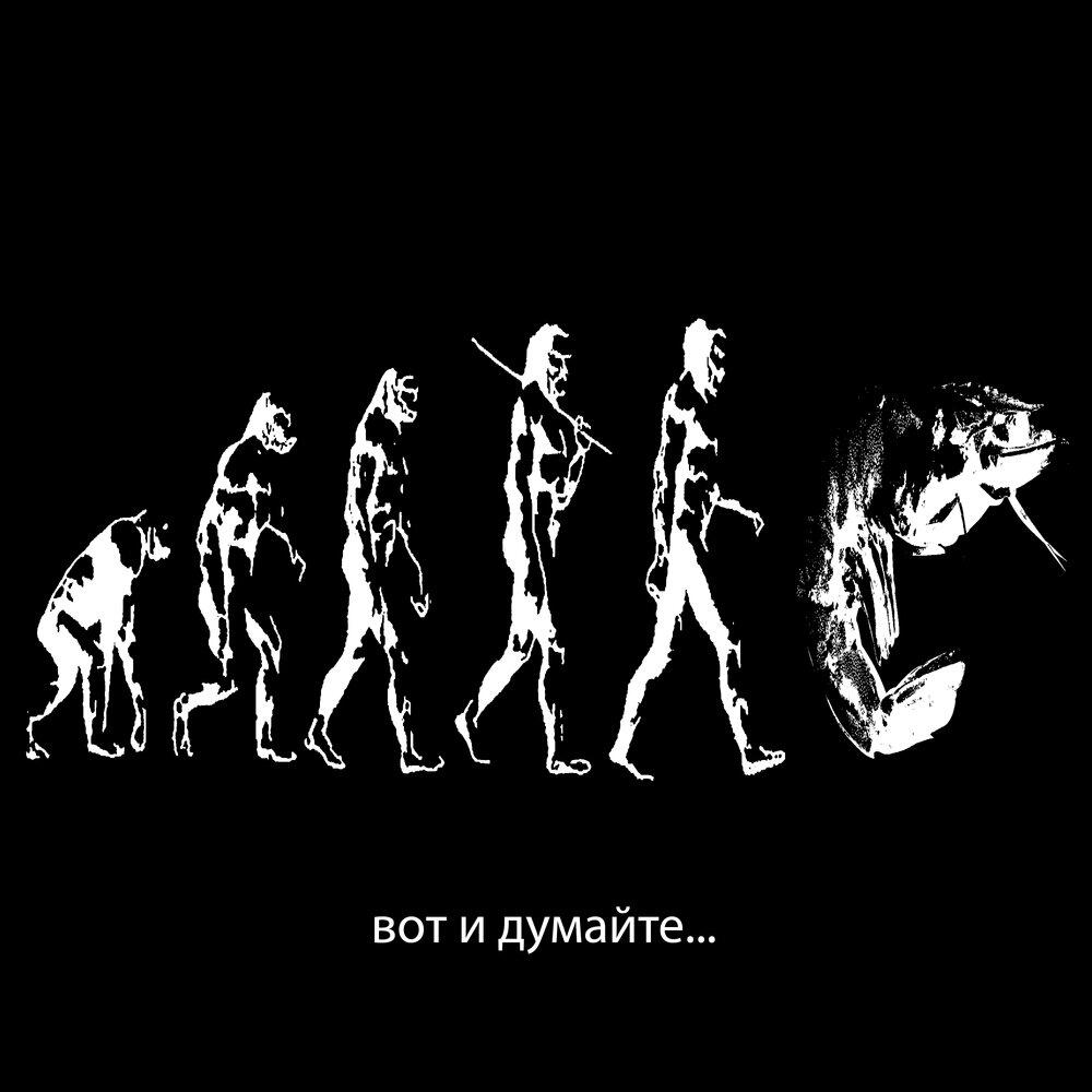 Релиз креветки плачут