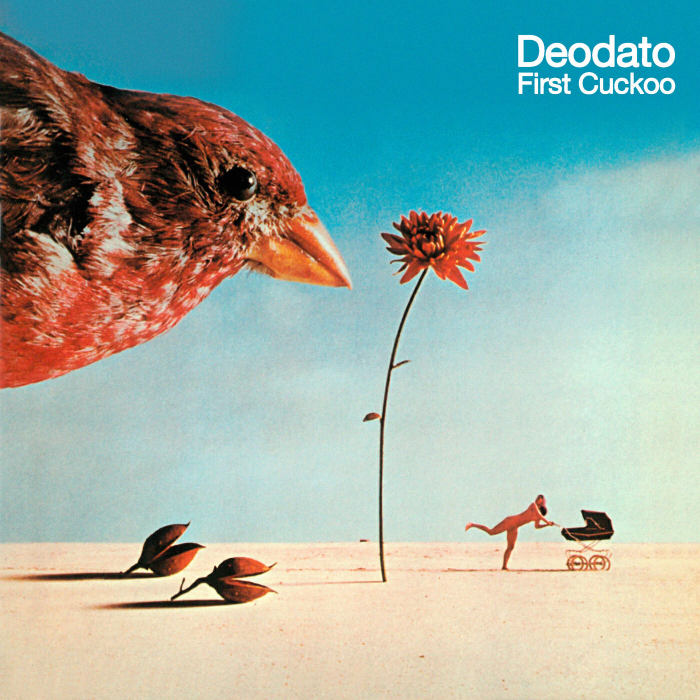Релиз First Cuckoo
