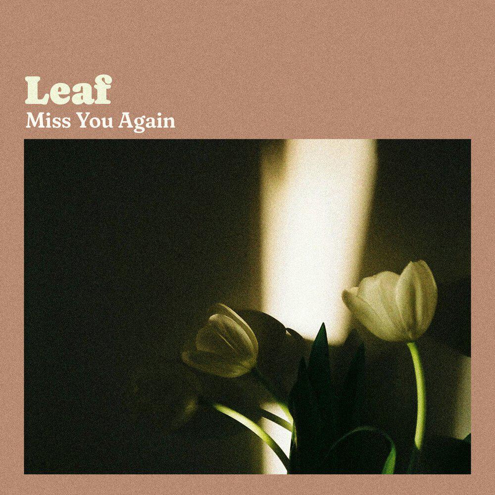 Релиз Miss You Again