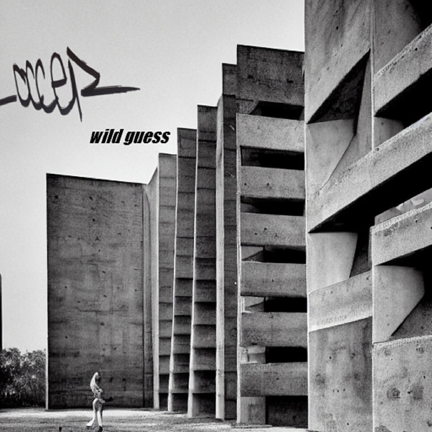 Релиз Wild Guess