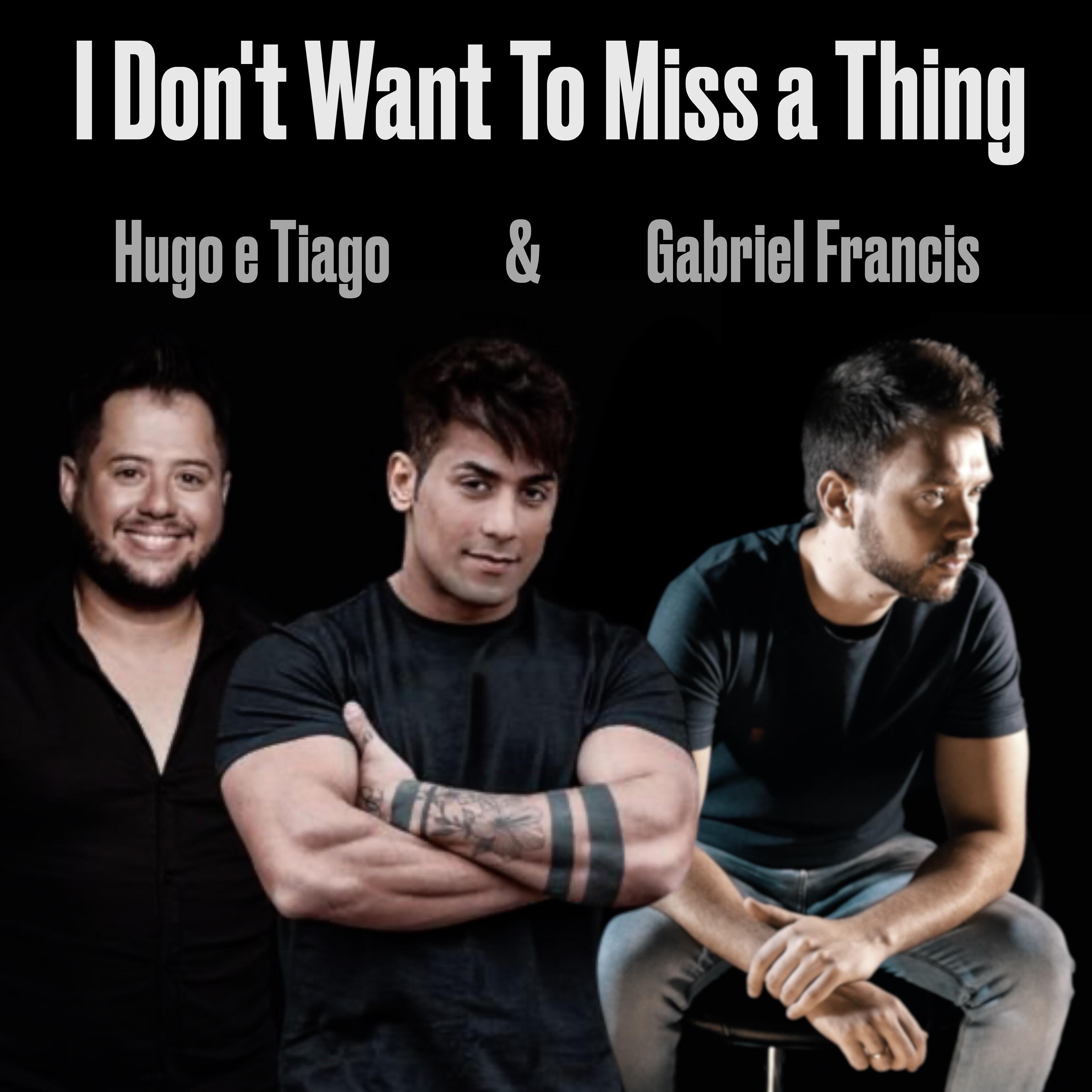 Релиз I Don't Want to Miss a Thing