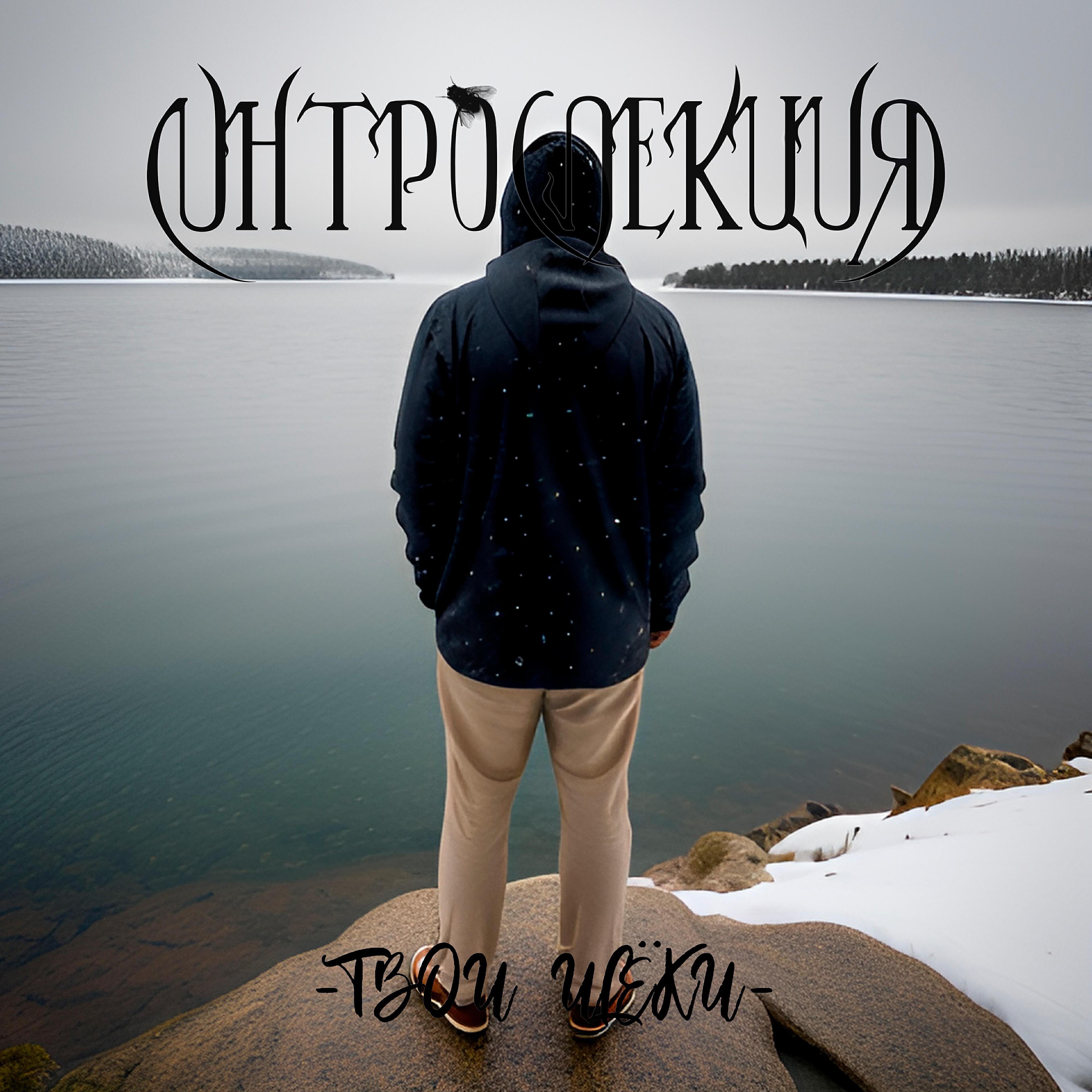 Интроспекция