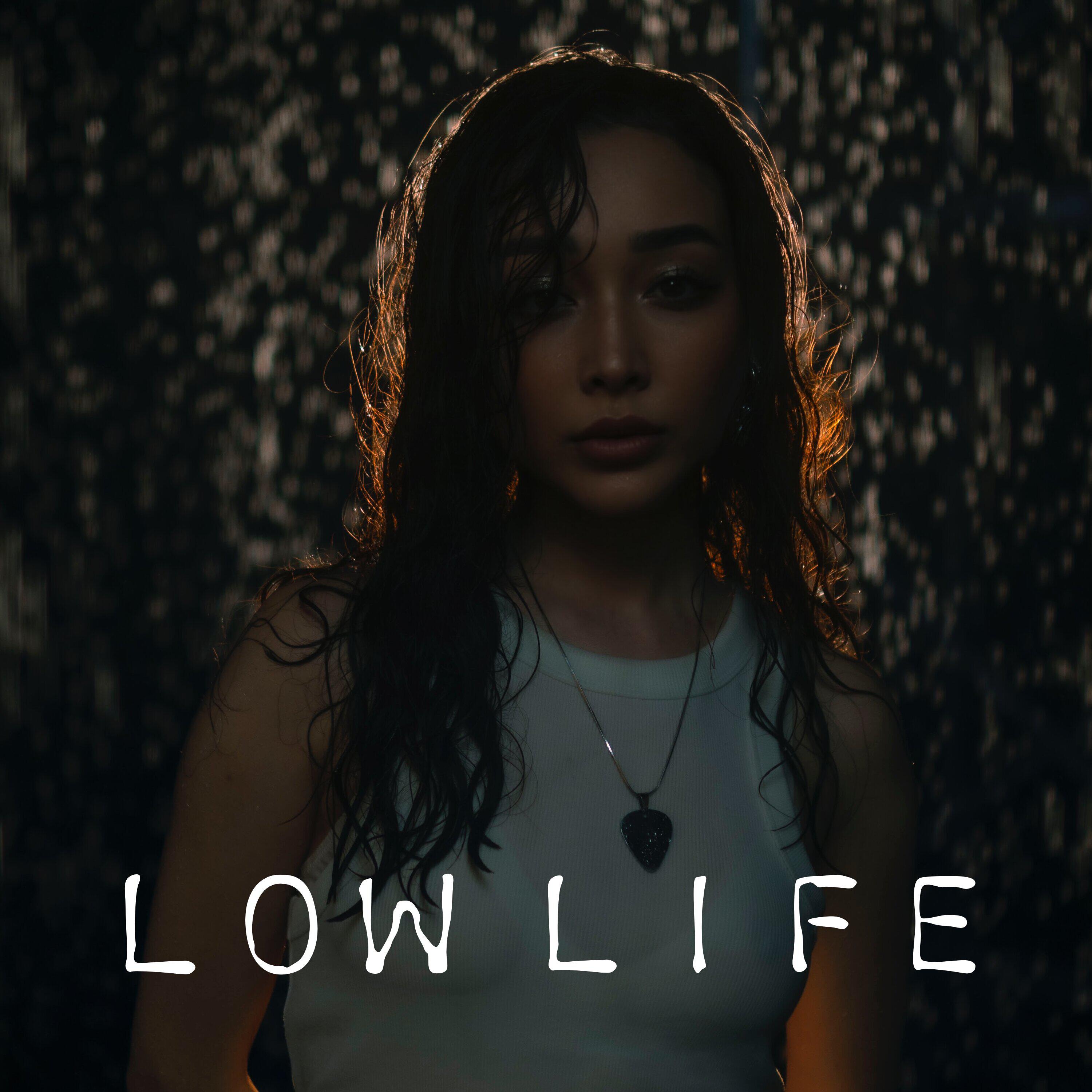 Постер альбома Low Life