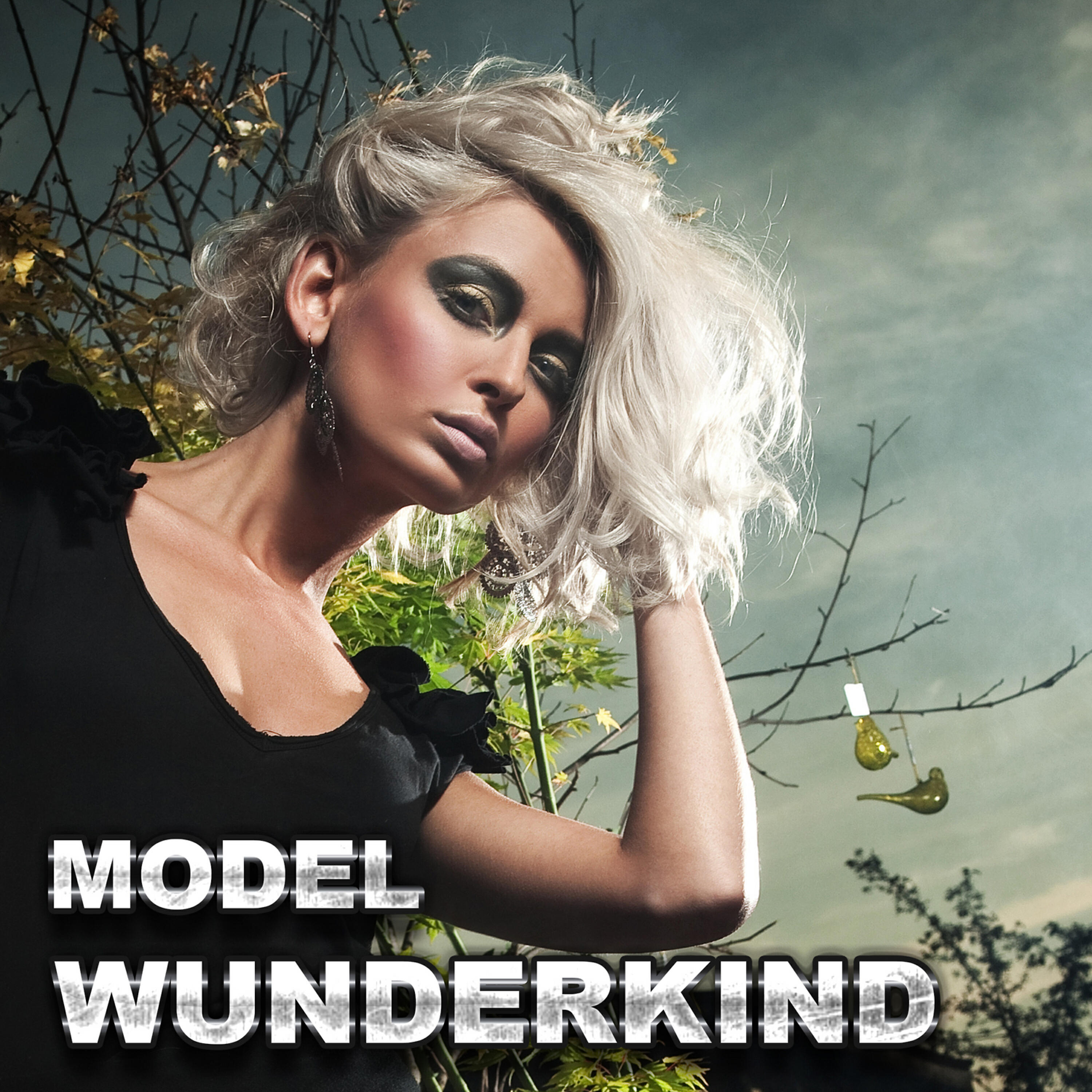 Релиз Model