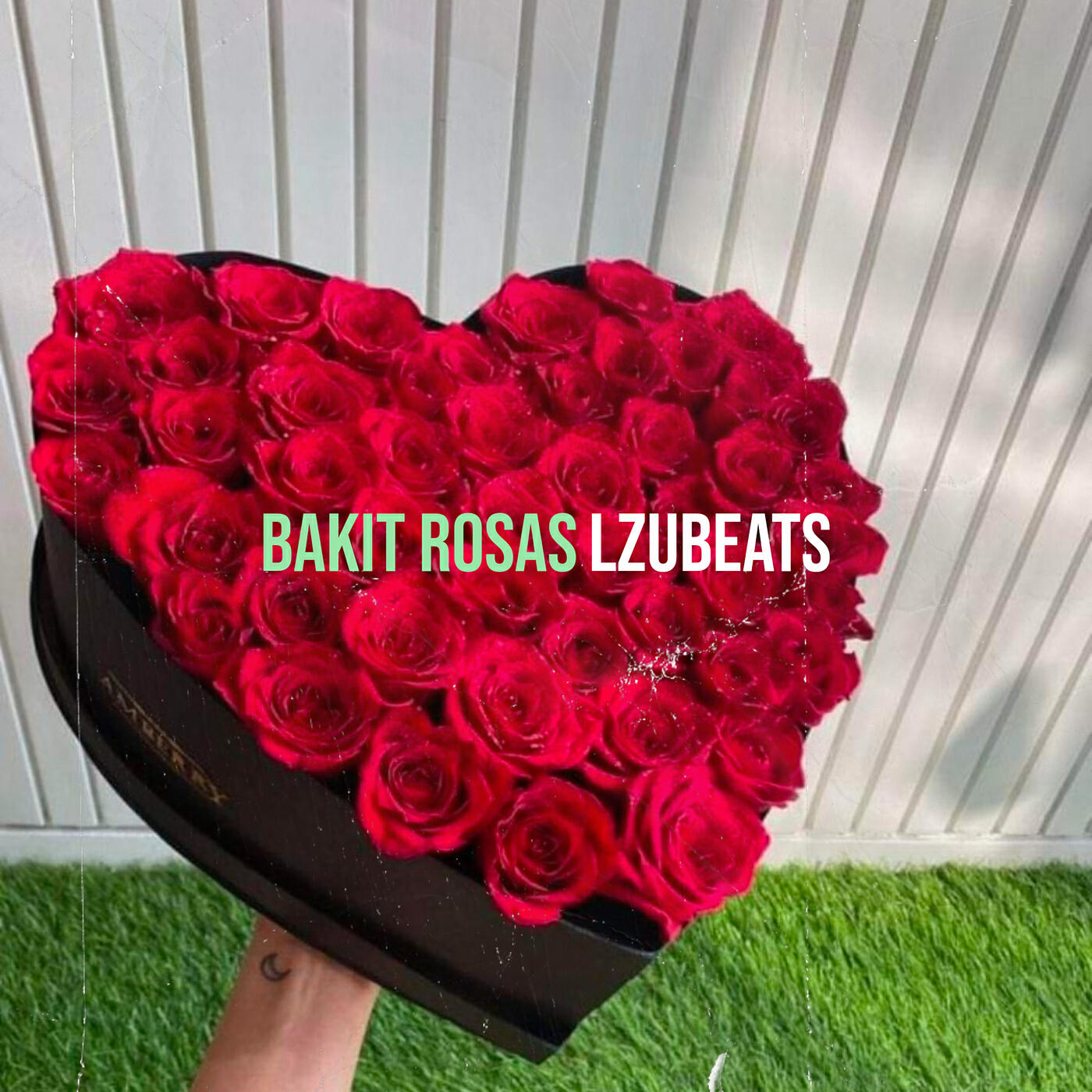 Релиз Bakit Rosas
