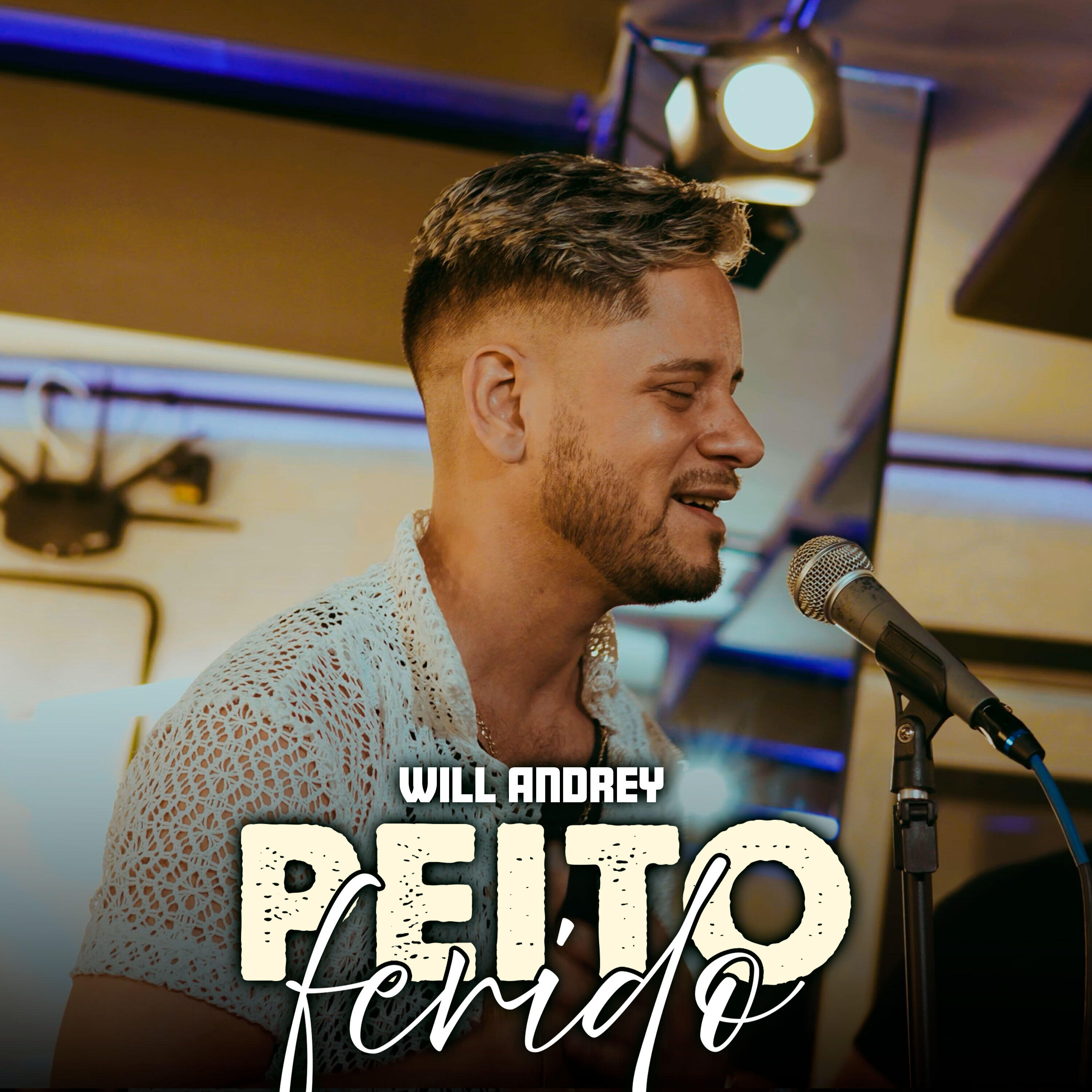 Постер альбома Peito Ferido