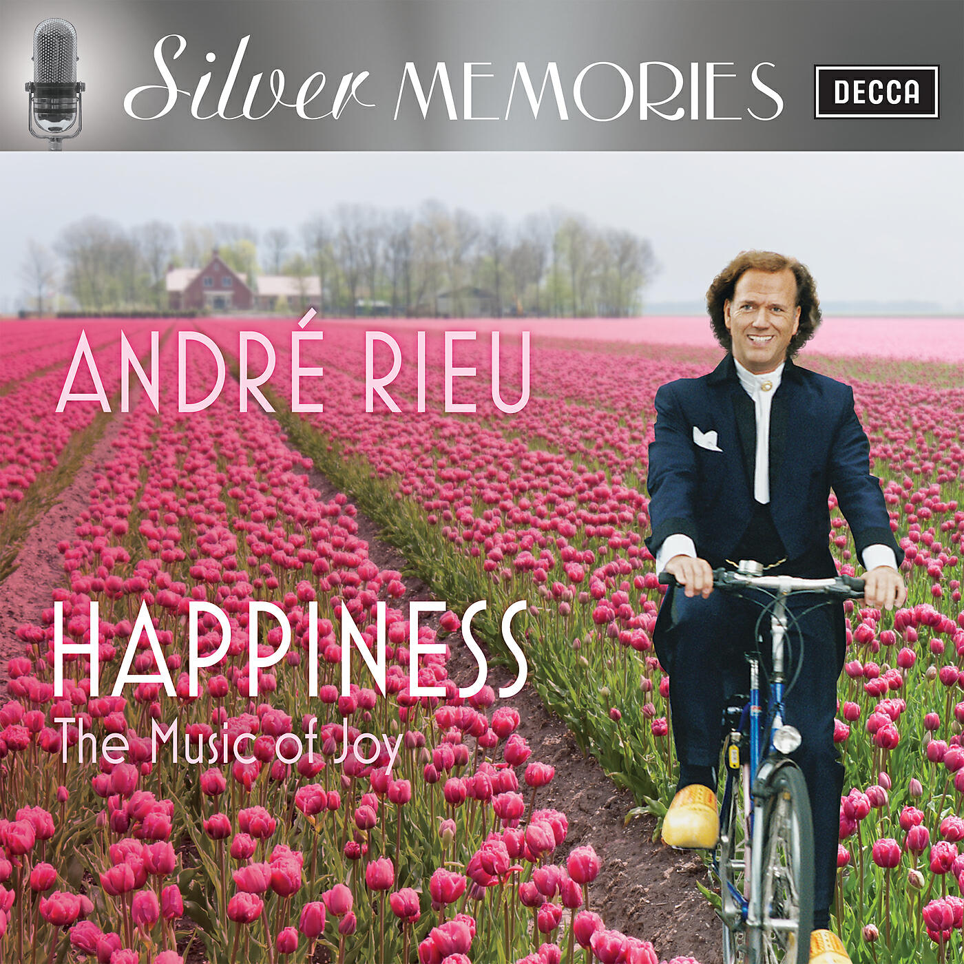 Постер альбома Happiness - The Music Of Joy