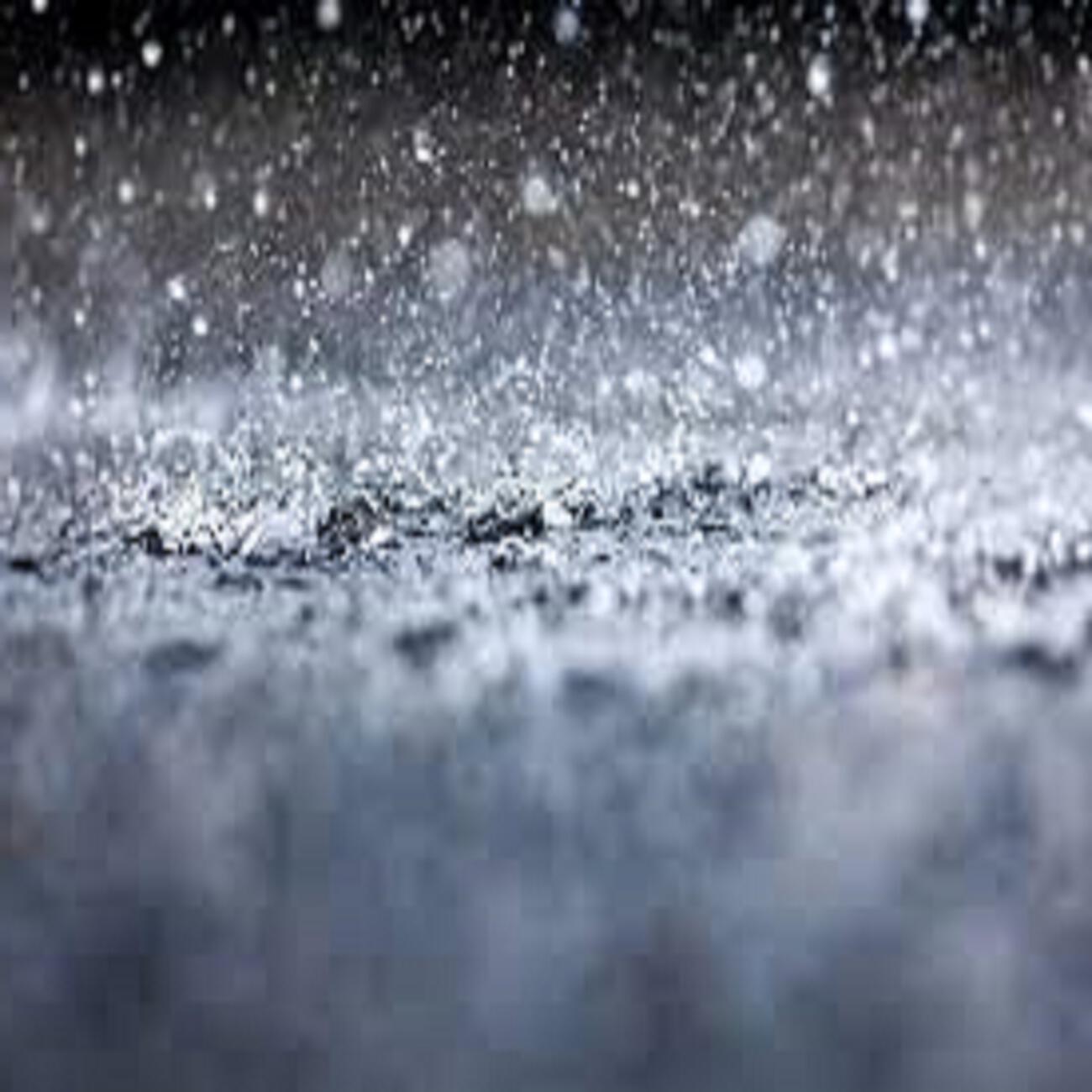 Релиз Gentle Rains