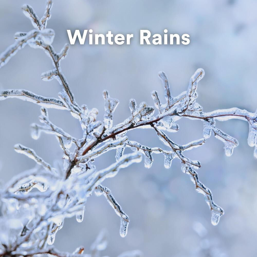 Релиз Winter Rains