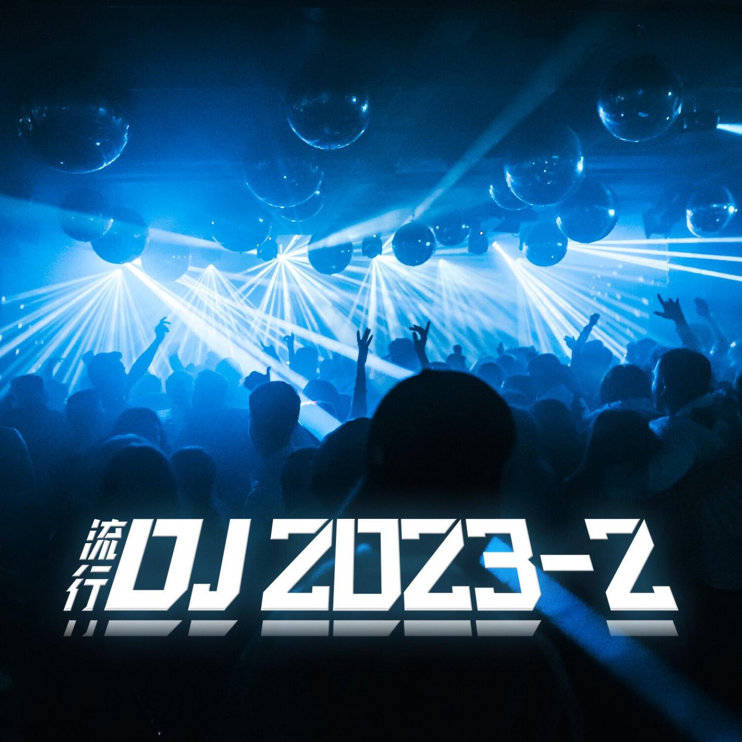 Релиз 流行DJ2023-2