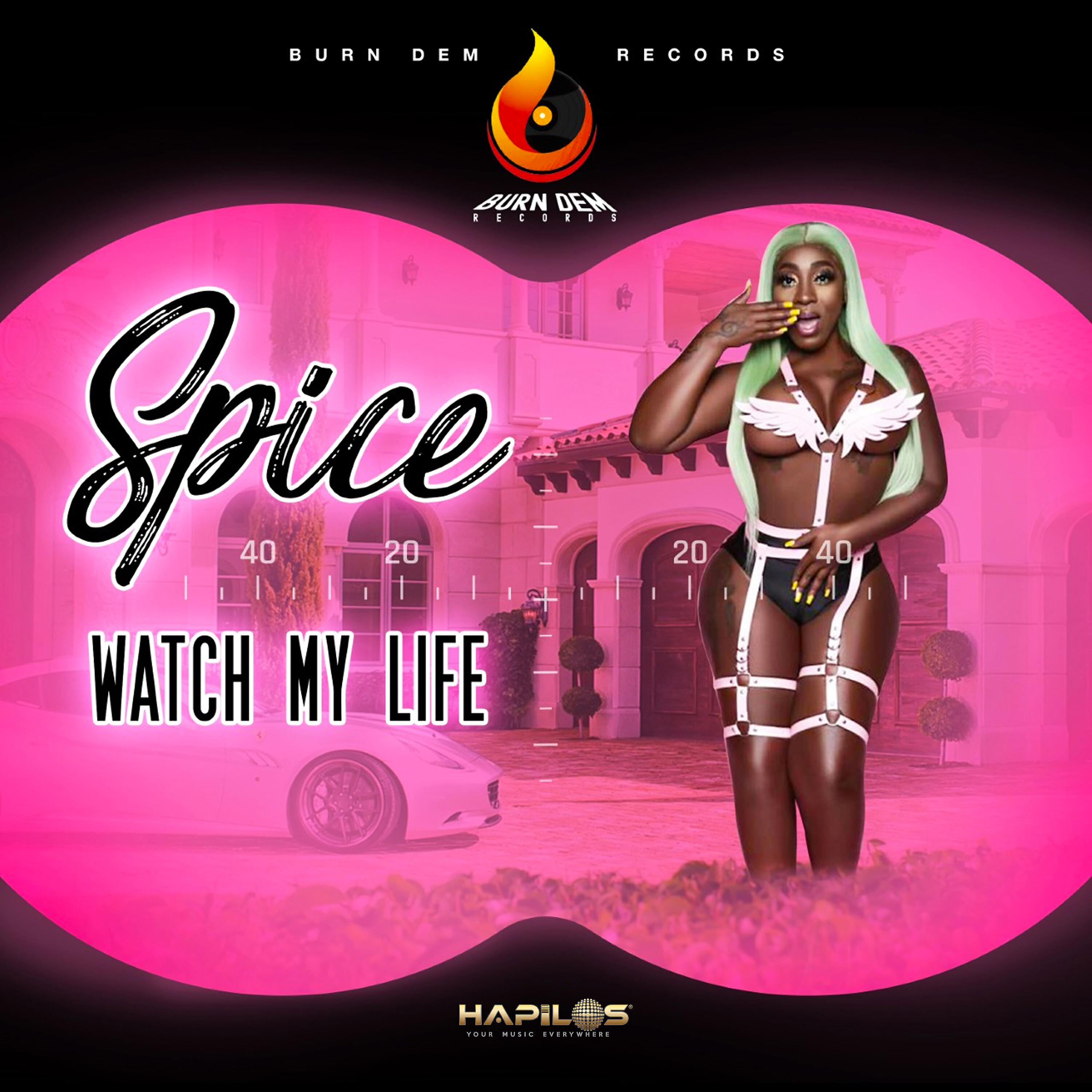 Постер альбома Watch My Life