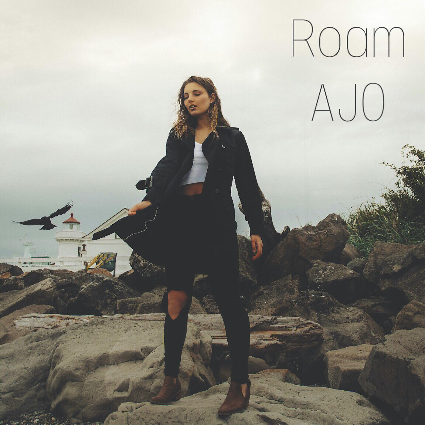 Релиз Roam