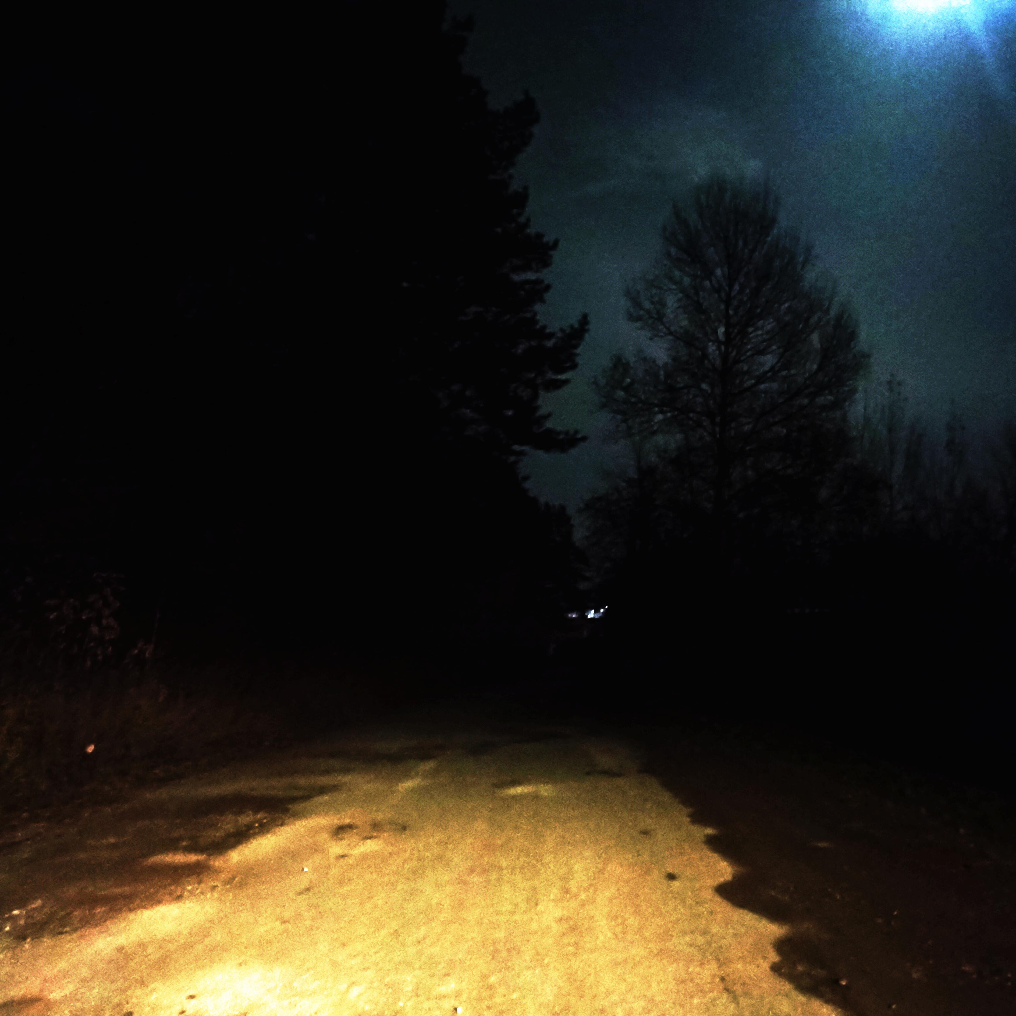 Релиз Vilse