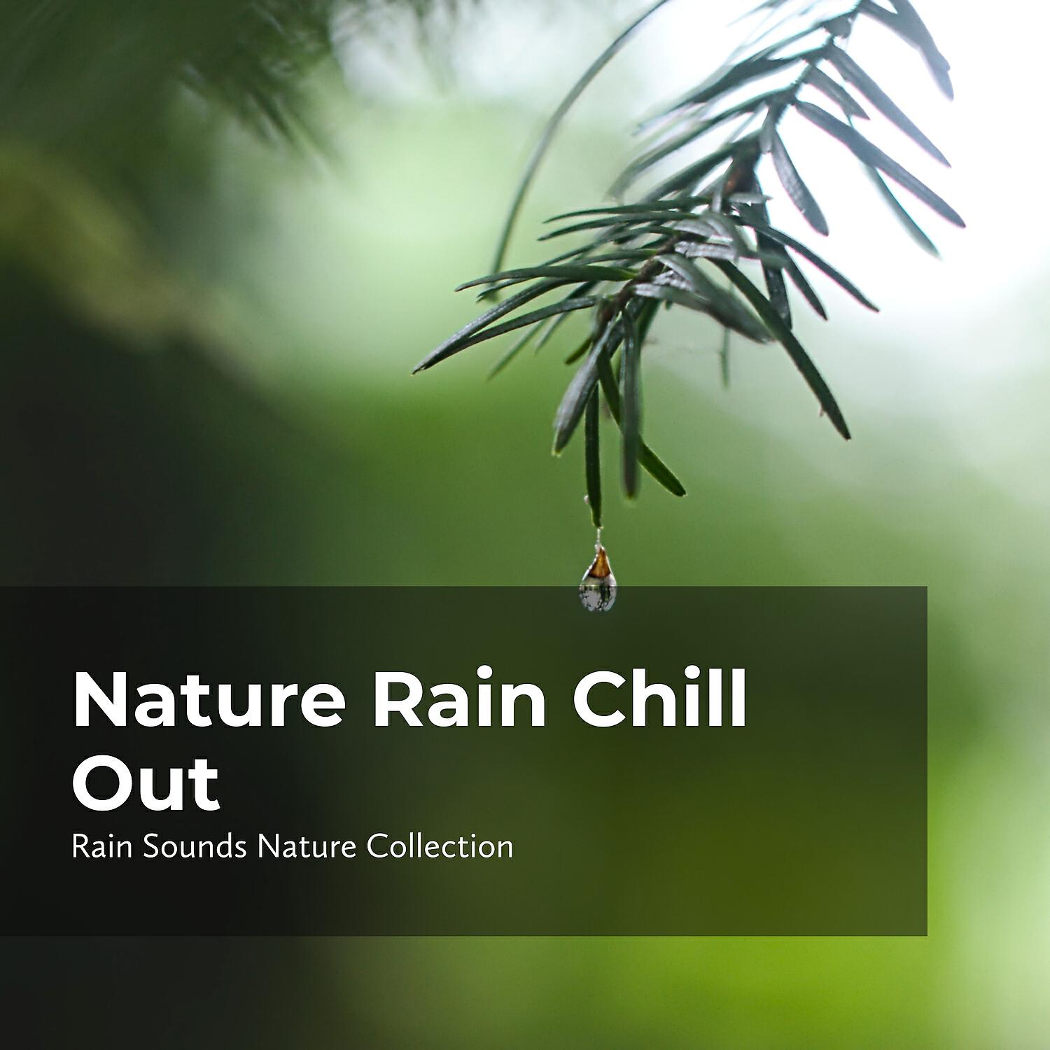 Постер альбома Nature Rain Chill Out