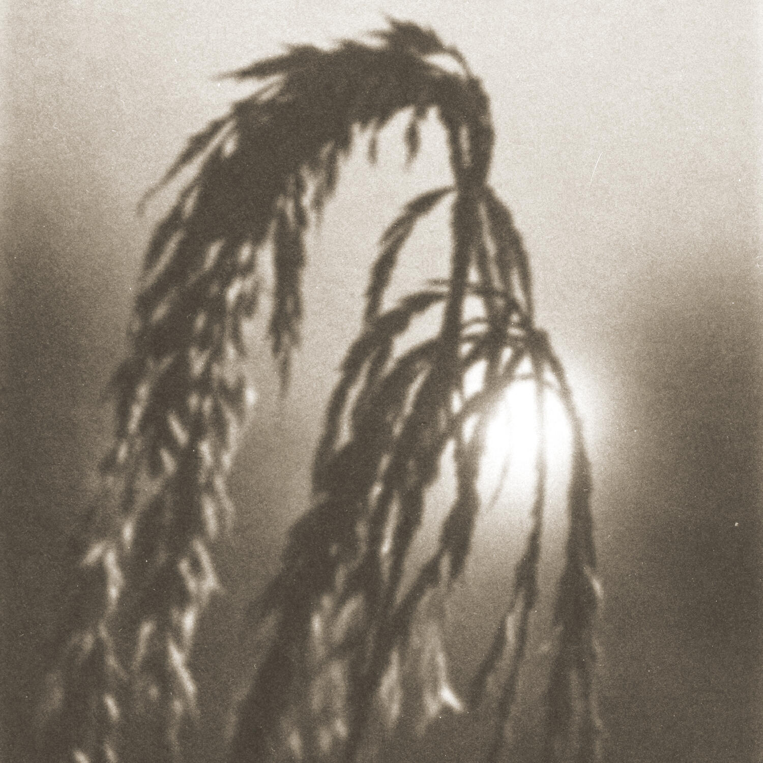 Релиз СПОРЫ