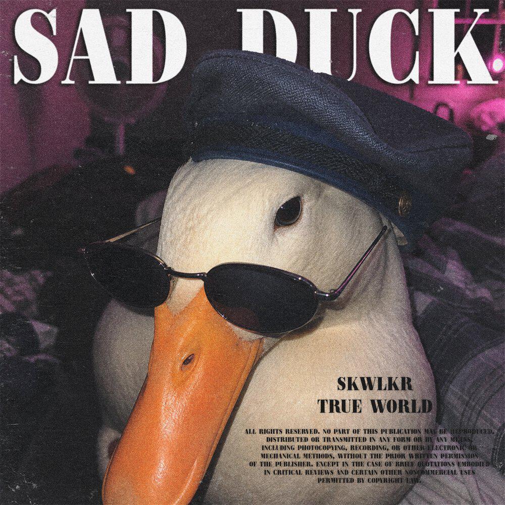 Релиз SAD DUCK