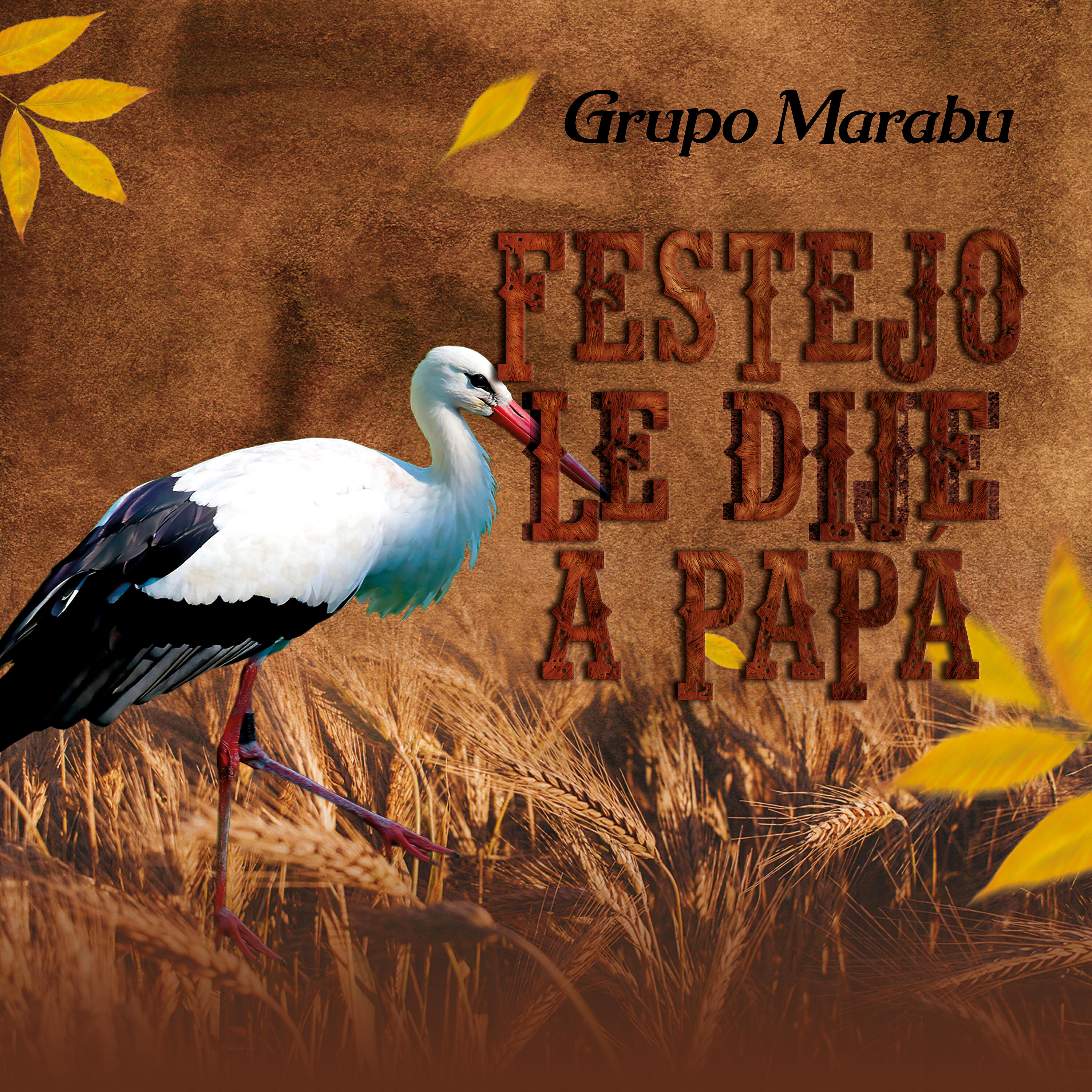 Релиз Festejo Le Dije a Papá