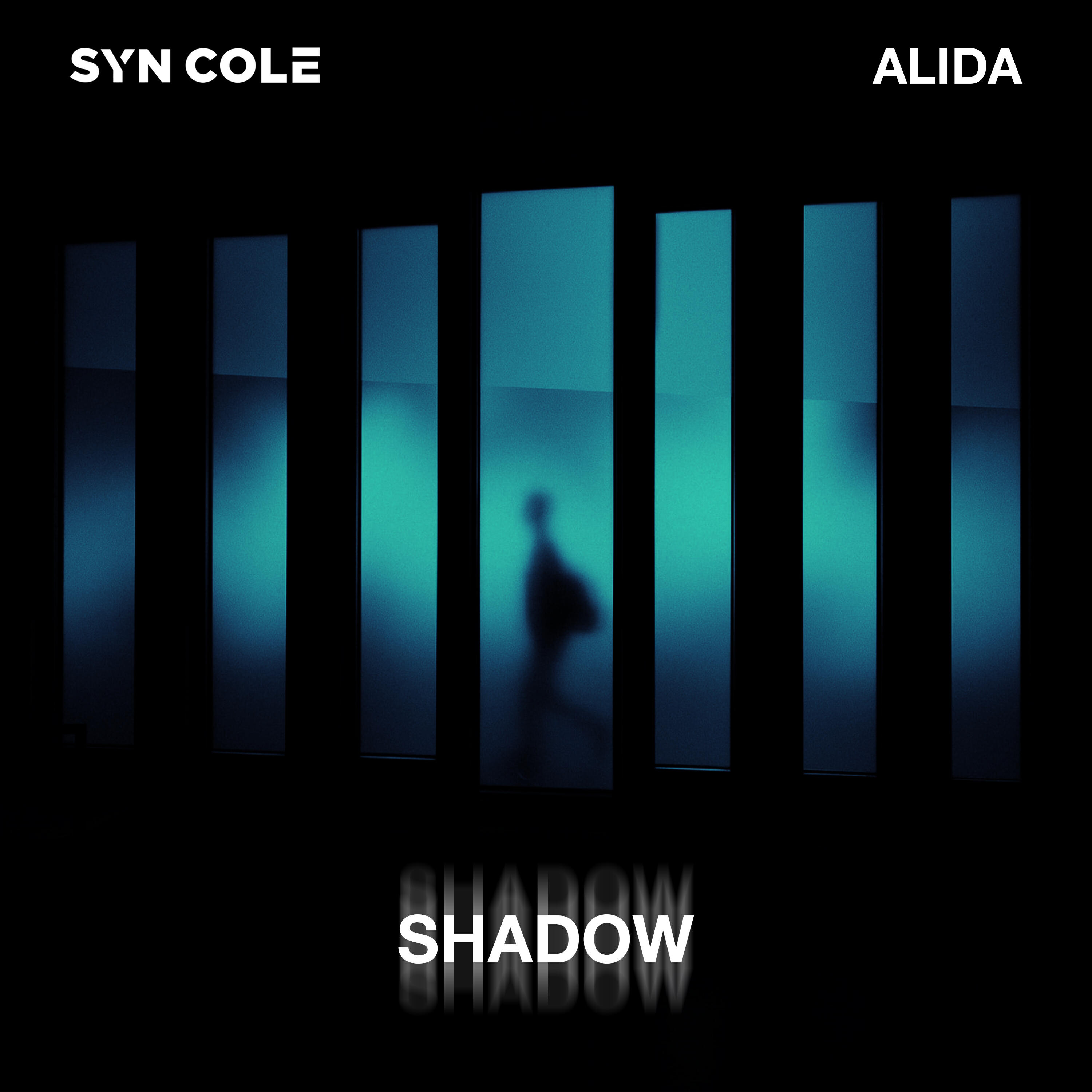 Релиз Shadow