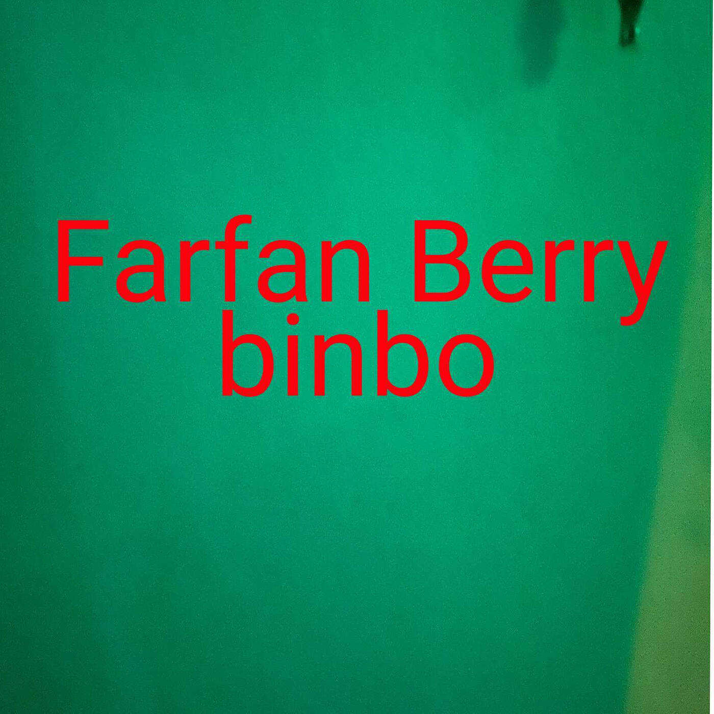Релиз Binbo