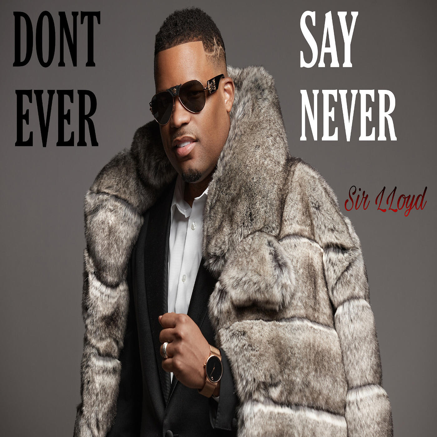 Релиз Dont Ever Say Never