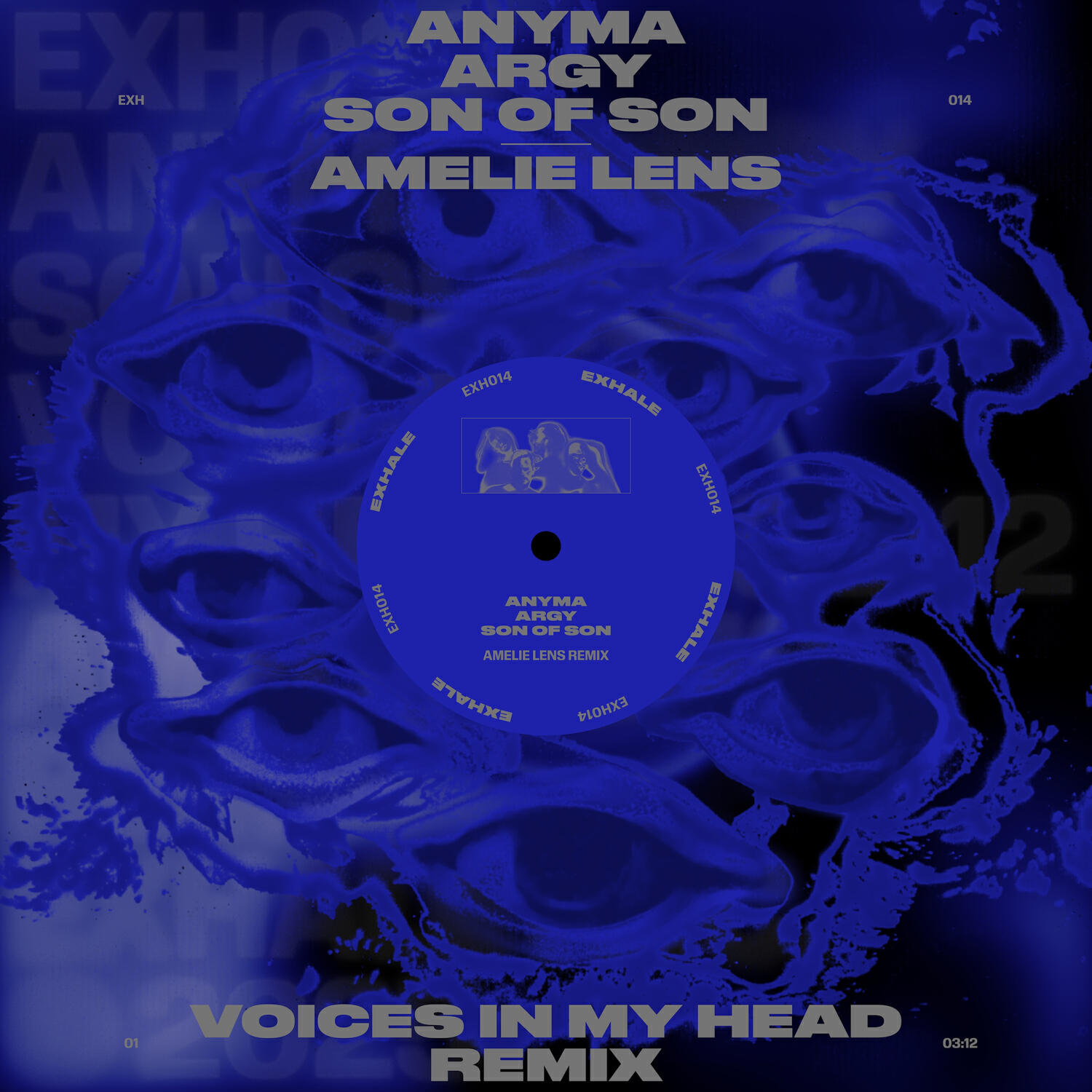 Постер альбома Voices In My Head Remix