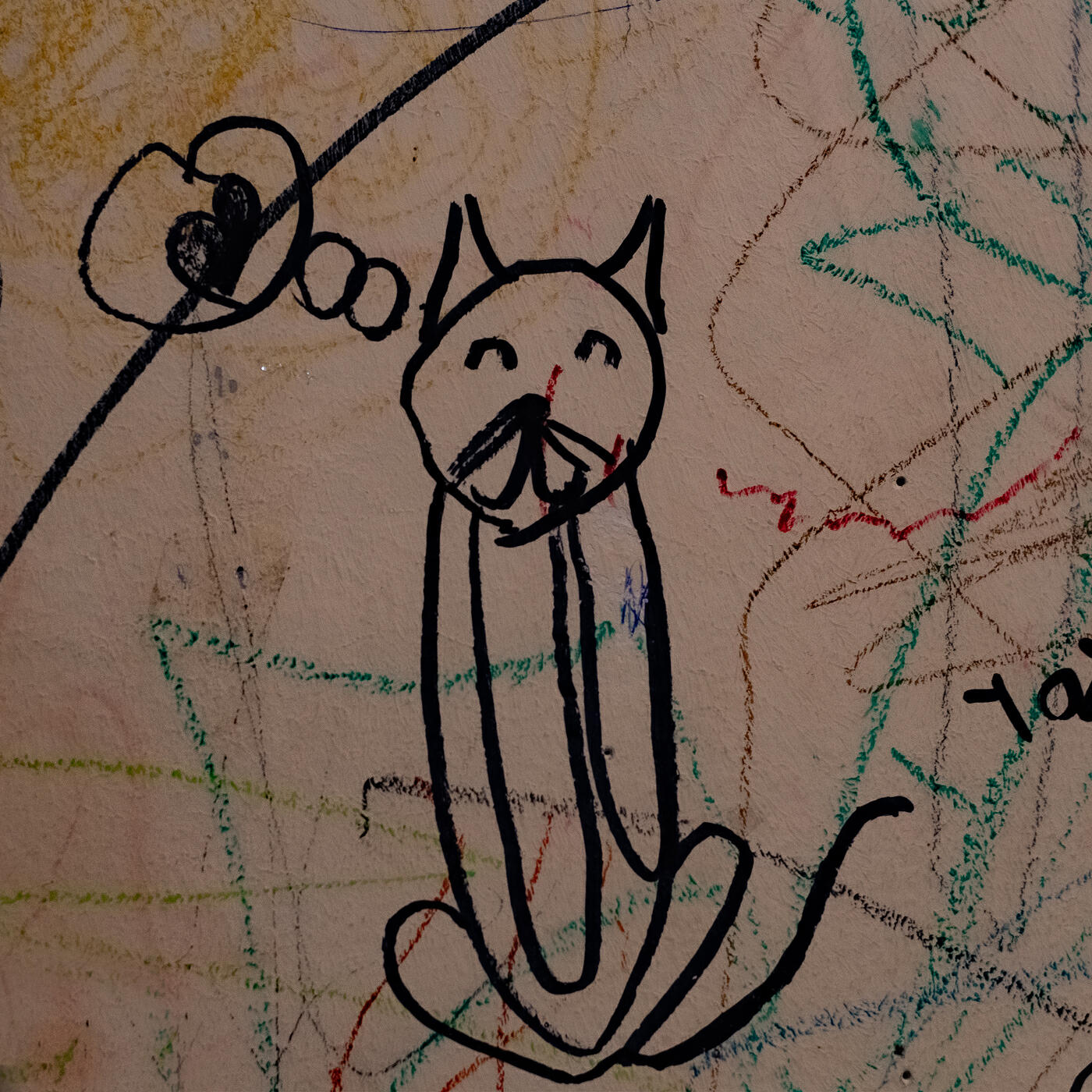 Релиз Catrip