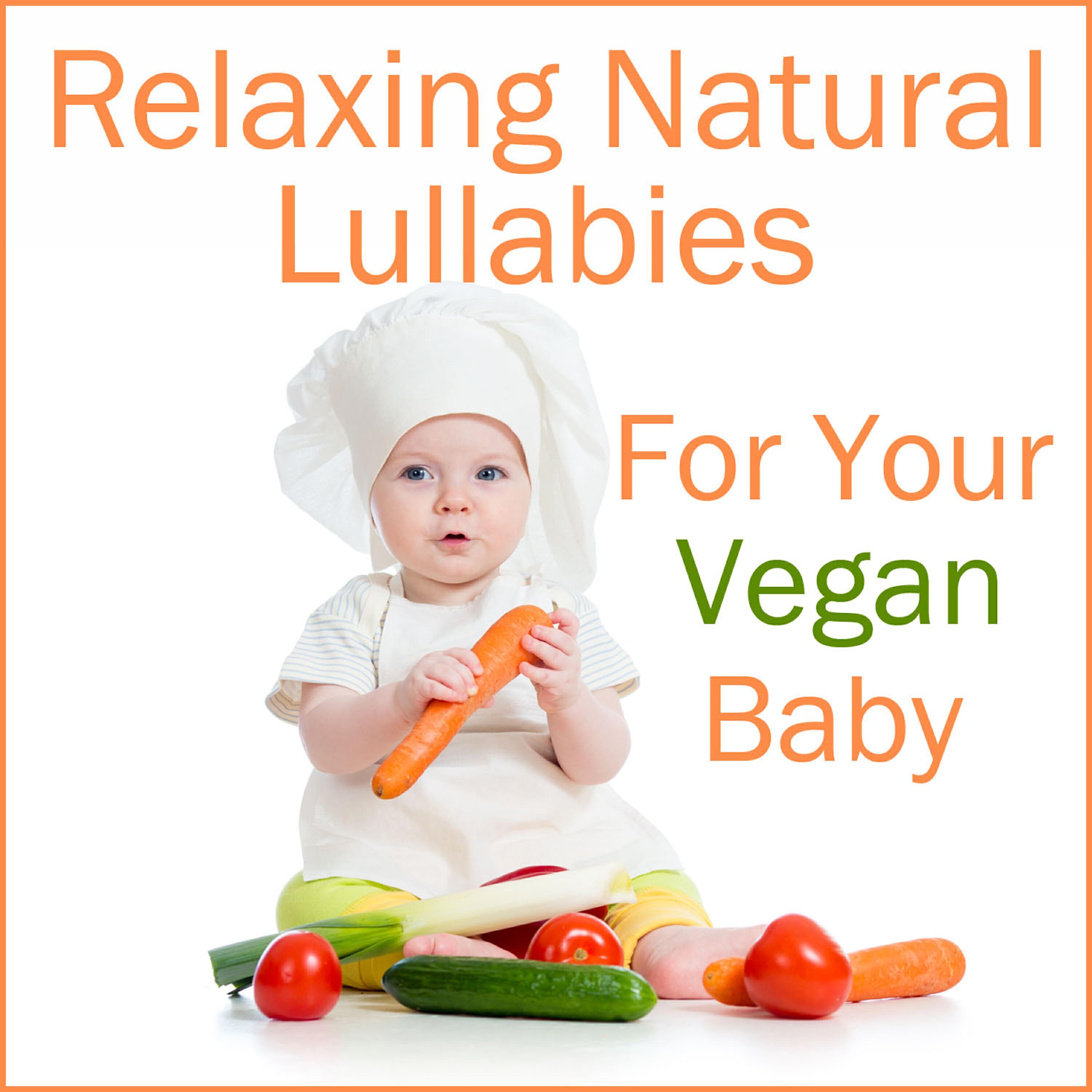 Baby Lullaby Ensemble