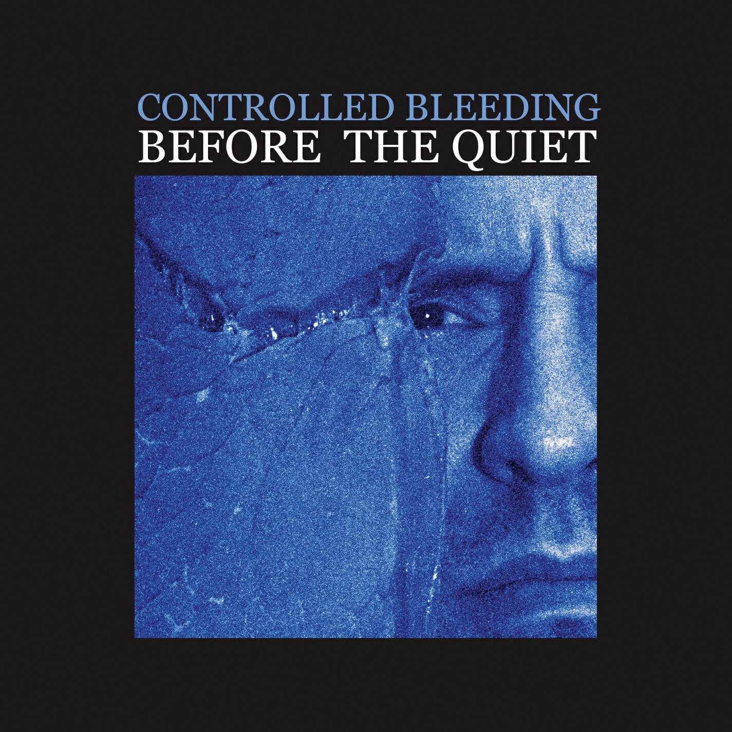 Релиз Before The Quiet