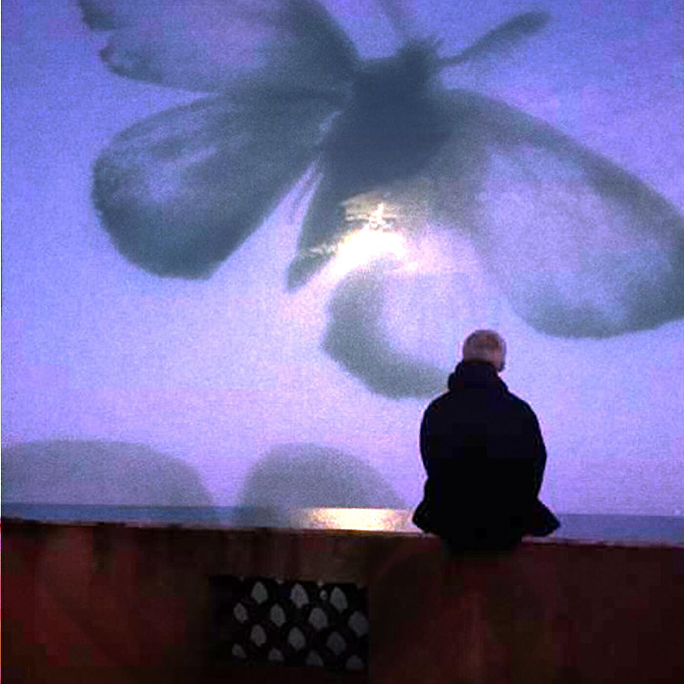 Релиз Butterflies Away