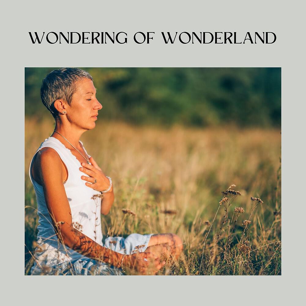 Релиз Wondering of Wonderland