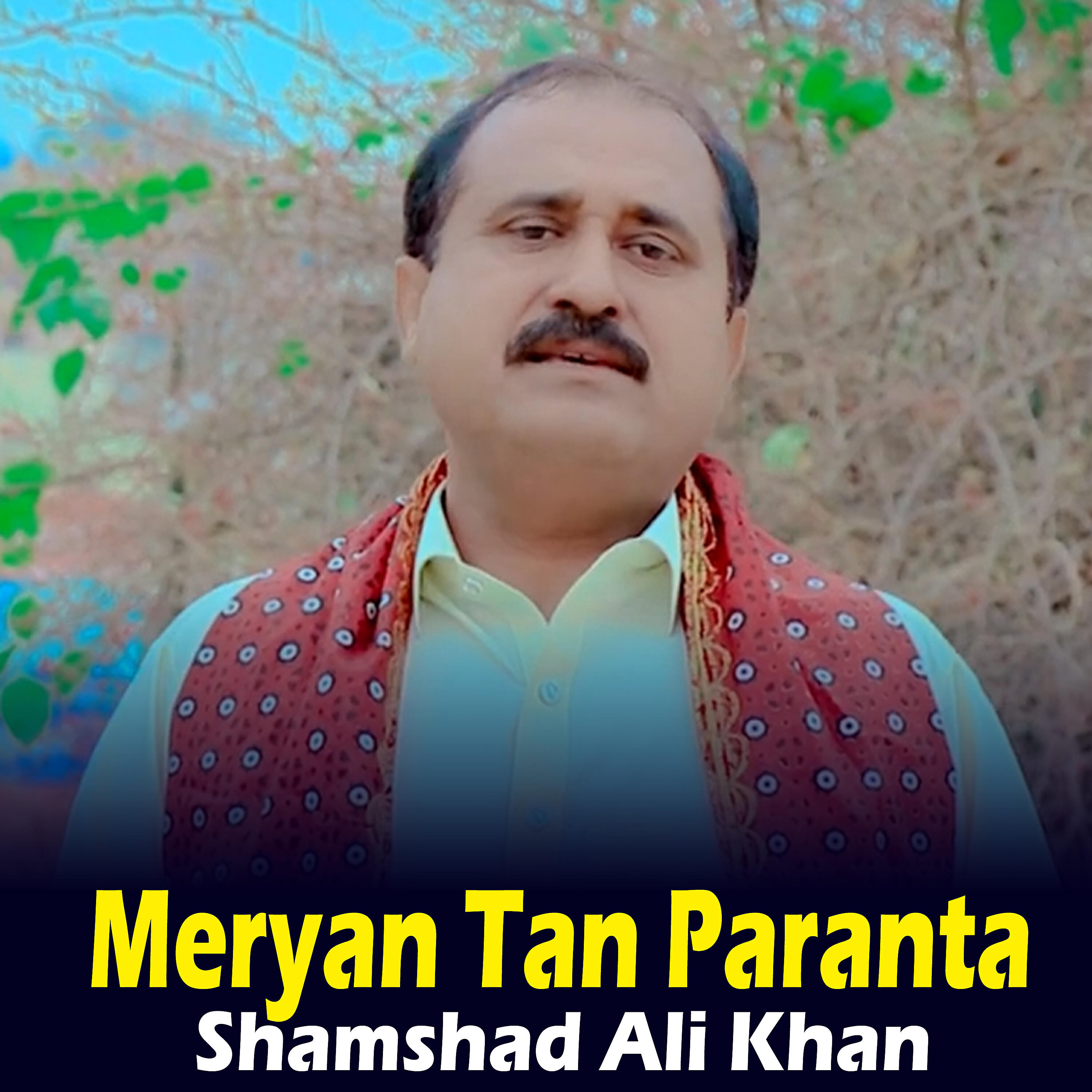 Релиз Meryan Tan Paranta