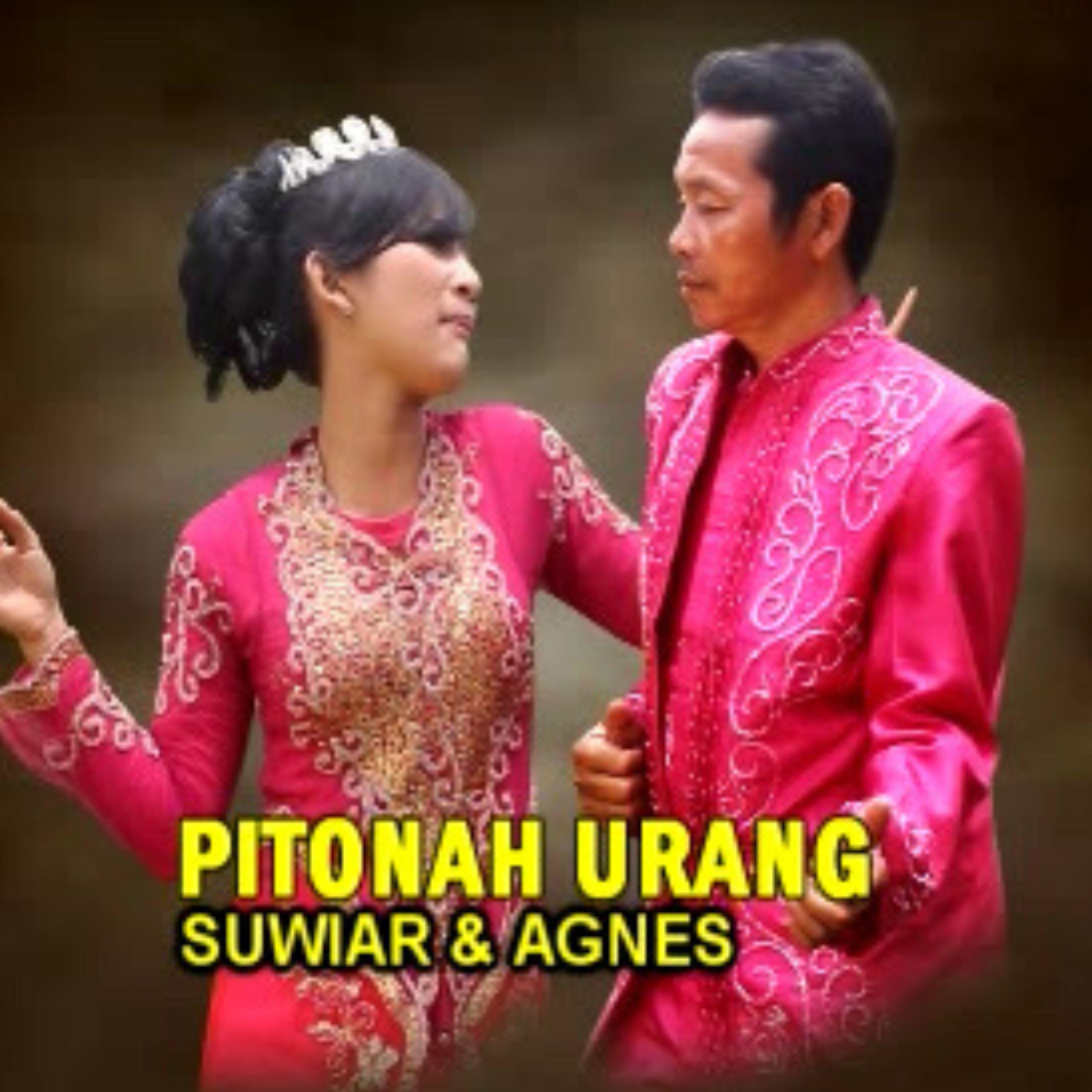 Релиз Pitonah Urang