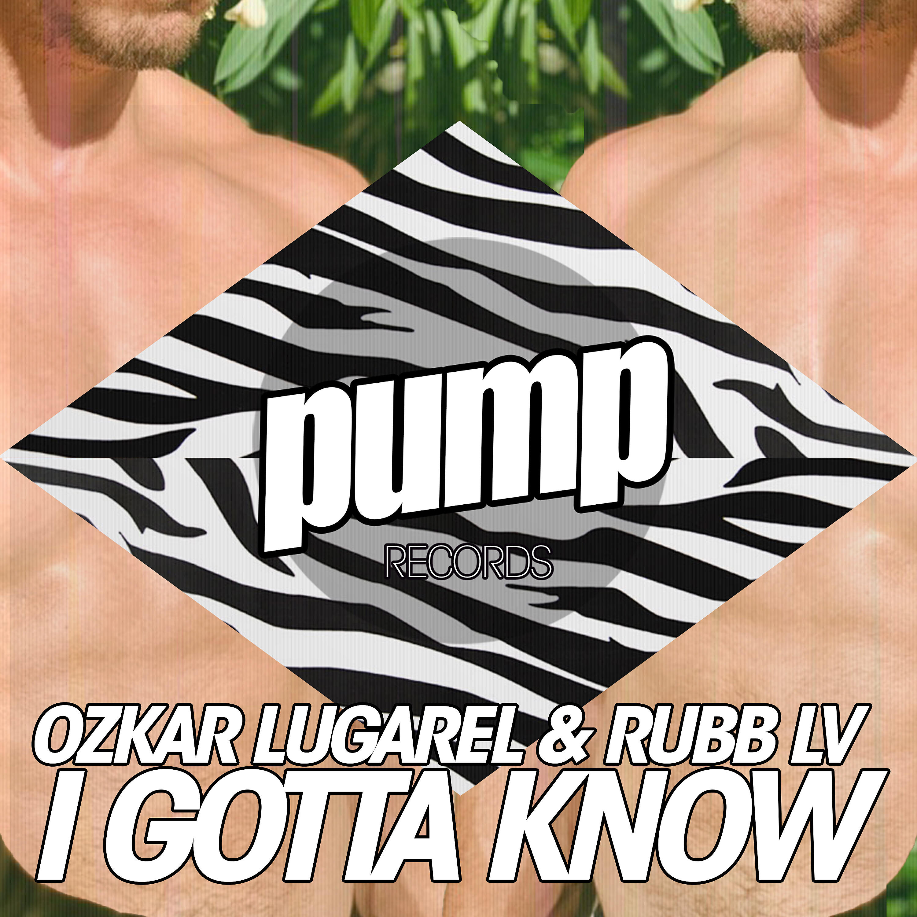 Rubb LV