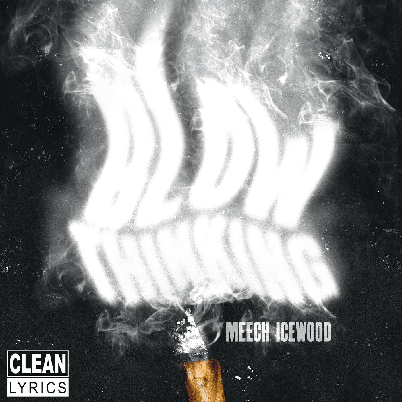 Meech Icewood
