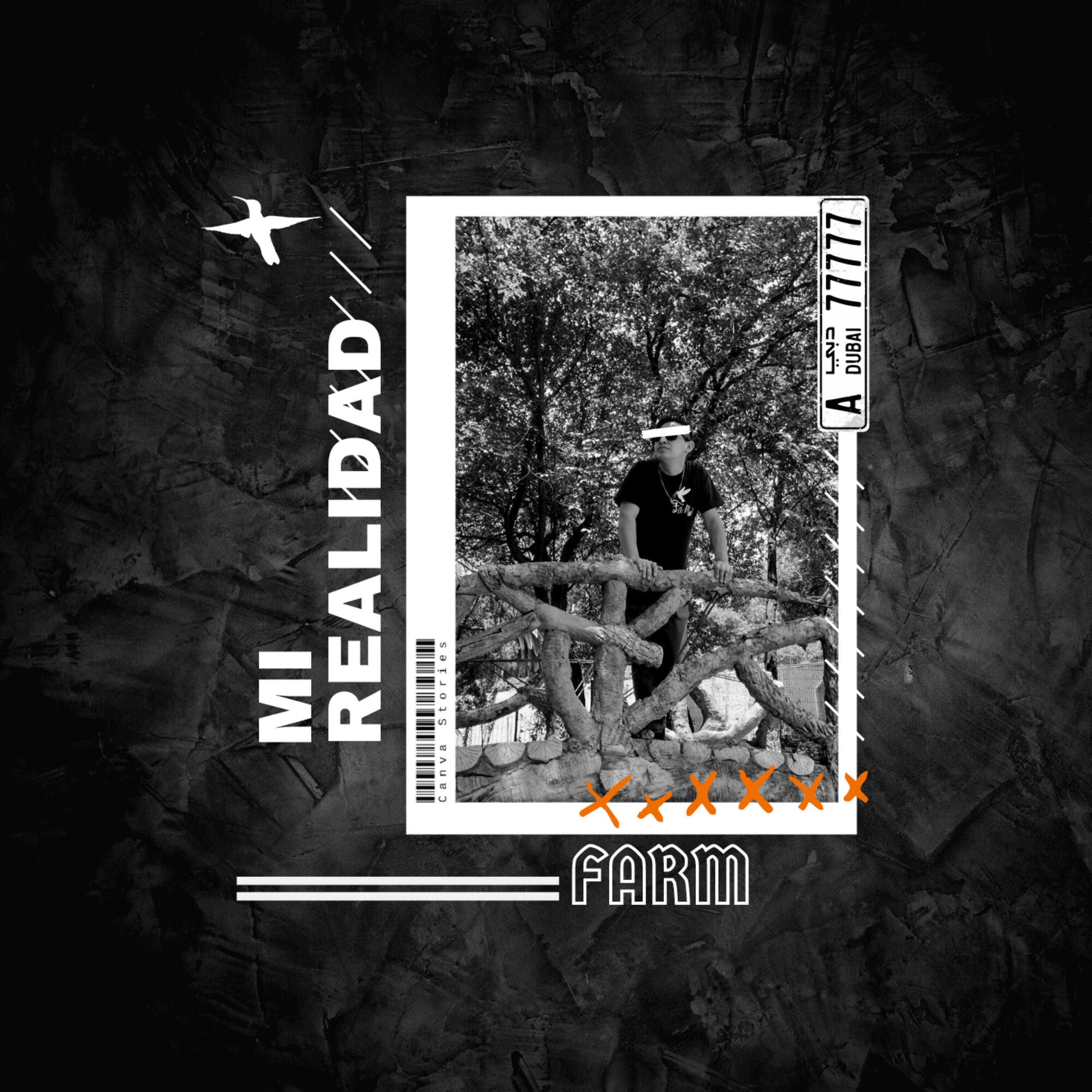Релиз Mi Realidad