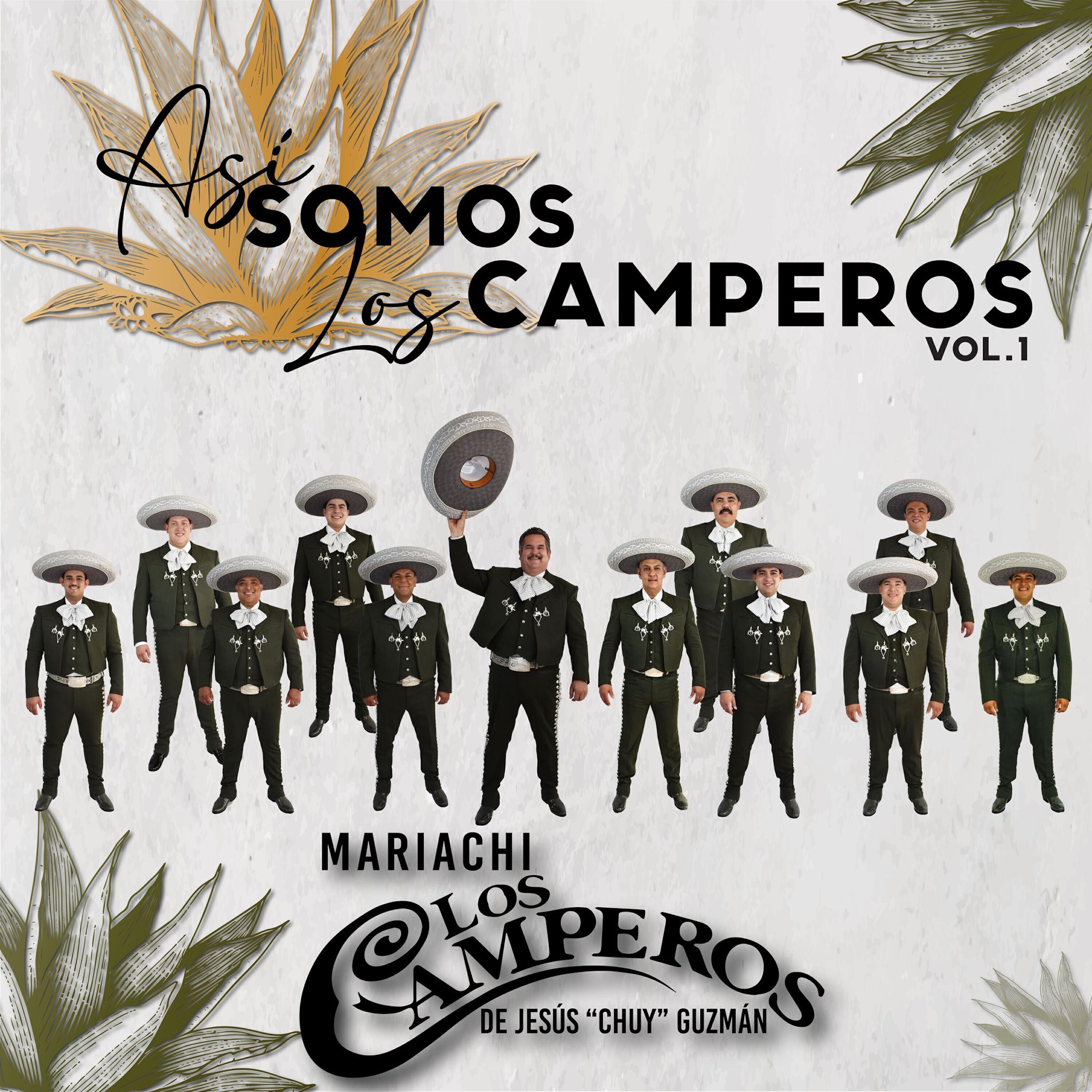 Релиз Así Somos Los Camperos Vol 1