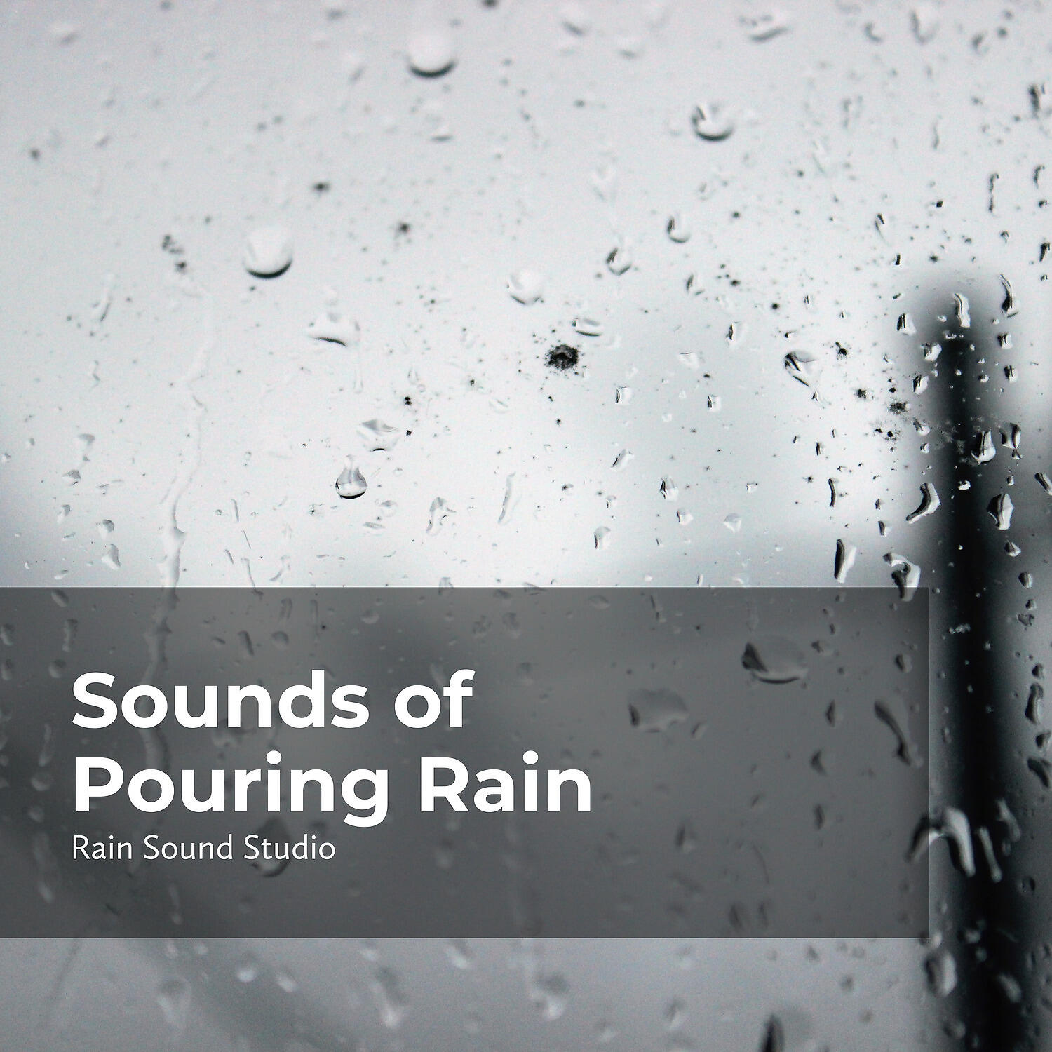 Релиз Sounds of Pouring Rain