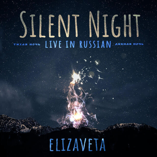 Постер альбома Silent Night (Live in Russian)