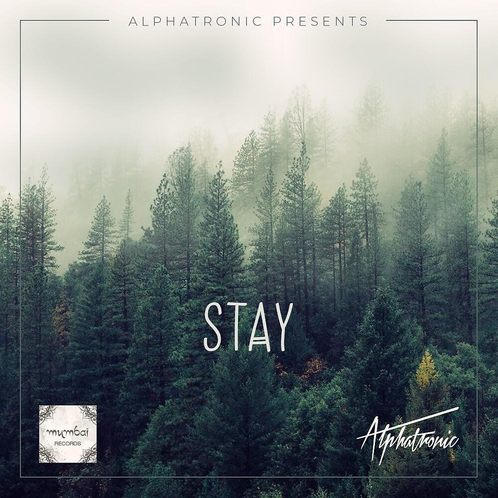 Релиз Stay (Radio Edit)
