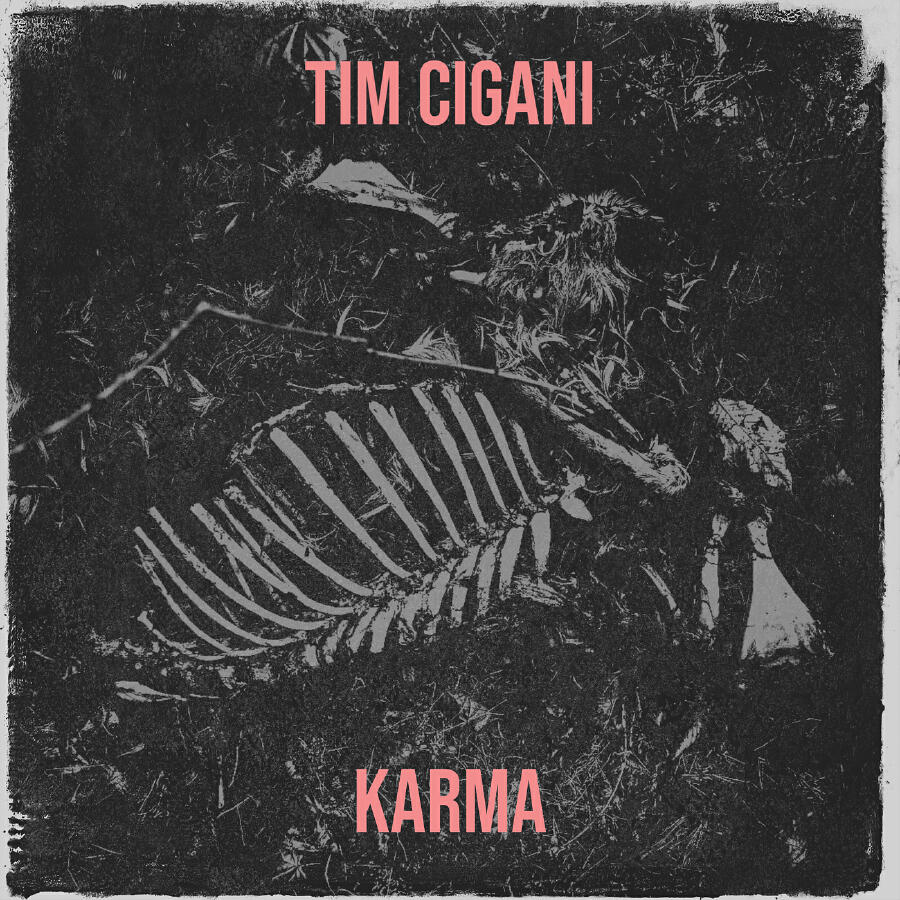 Релиз Tim Cigani
