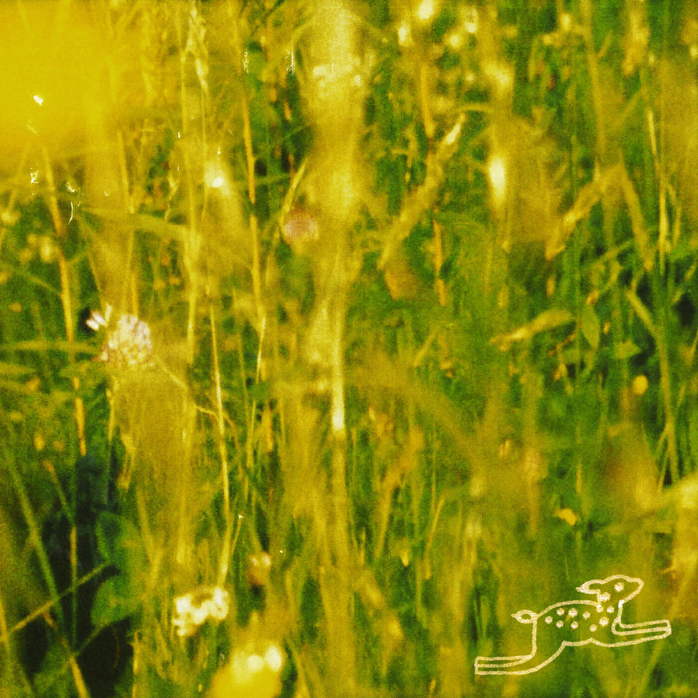 Релиз From A Different Age