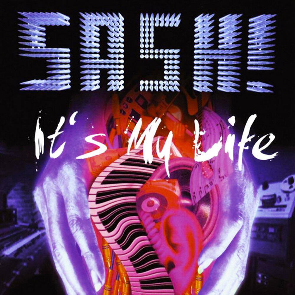 Релиз It's My Life