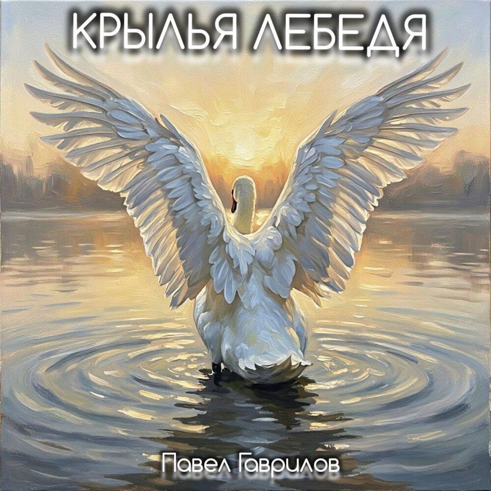 Релиз Крылья лебедя