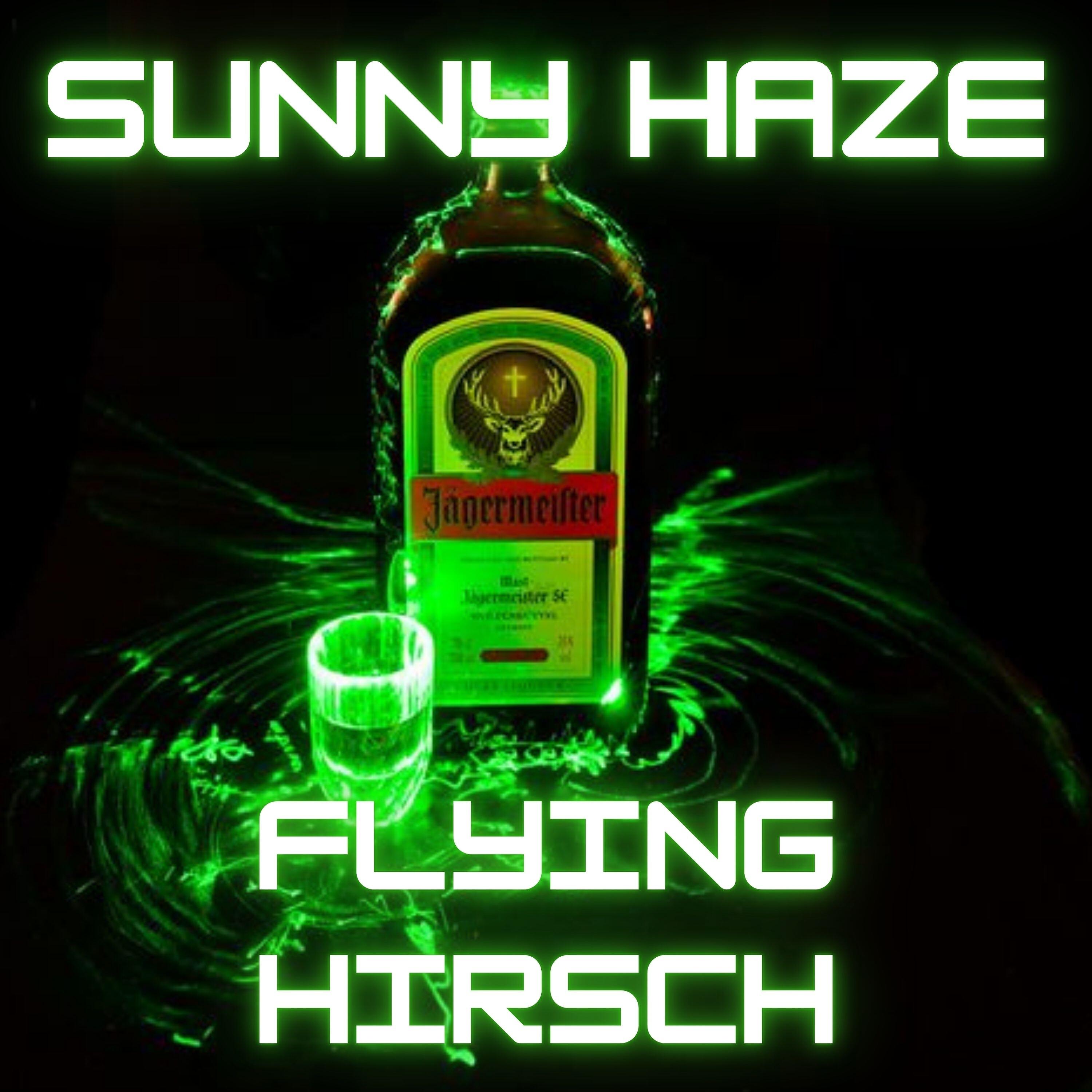 Релиз Flying Hirsch
